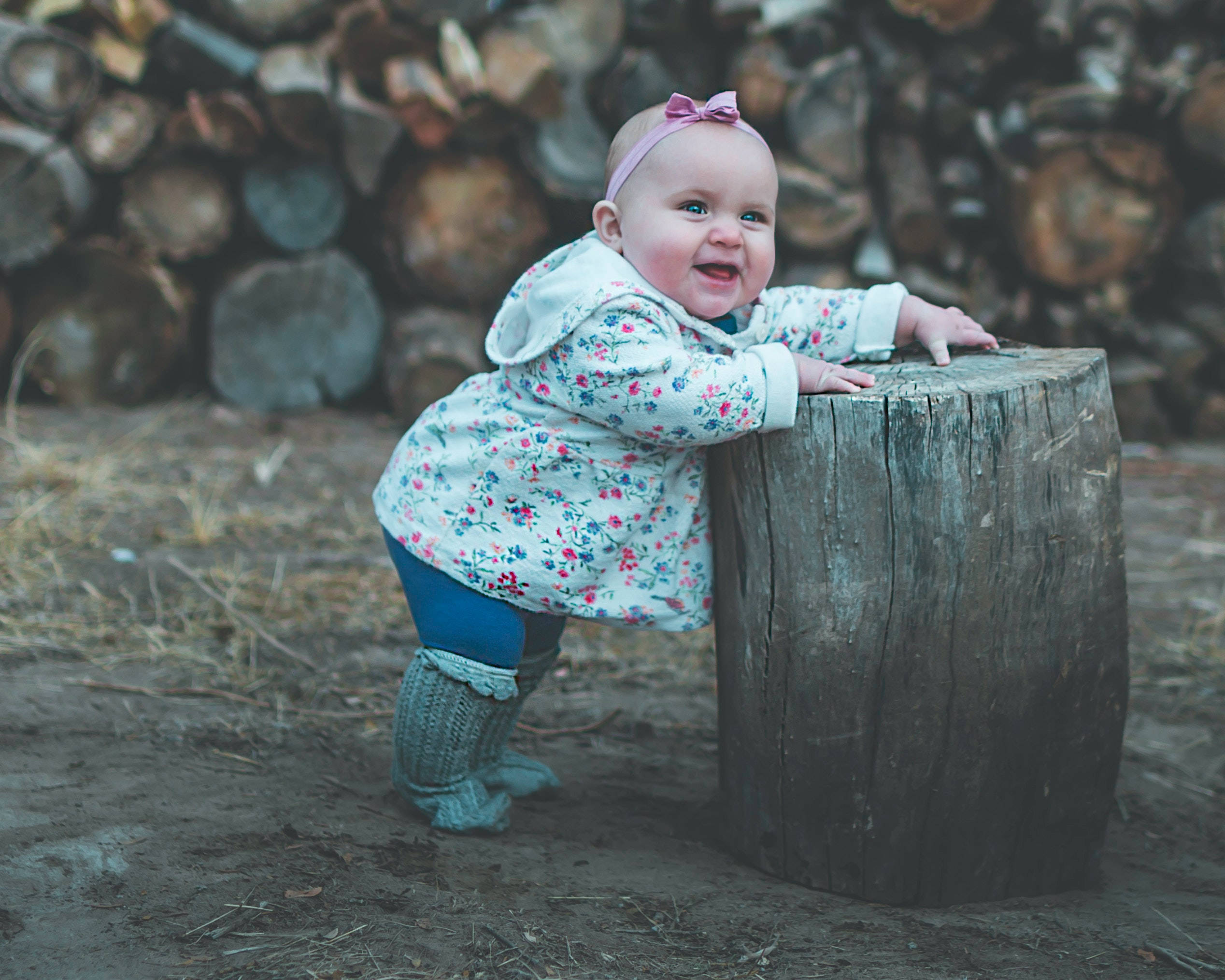 floral coat, wooden stump, stacked log wall, Full HD Desktop Wallpaper