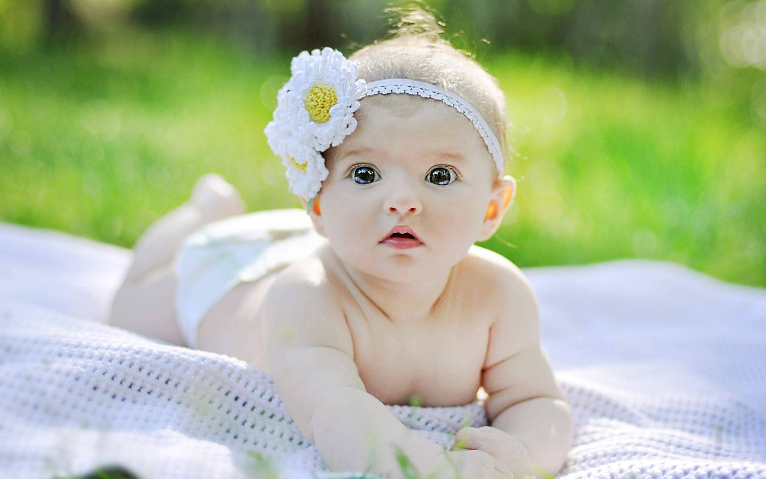 daisy headband, white blanket, sunlit grassy field, 2K Desktop Wallpaper