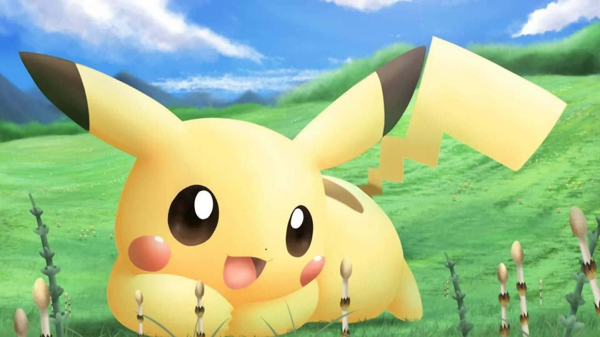 Cute Baby Pikachu, yellow, grass, Full HD Desktop Wallpaper