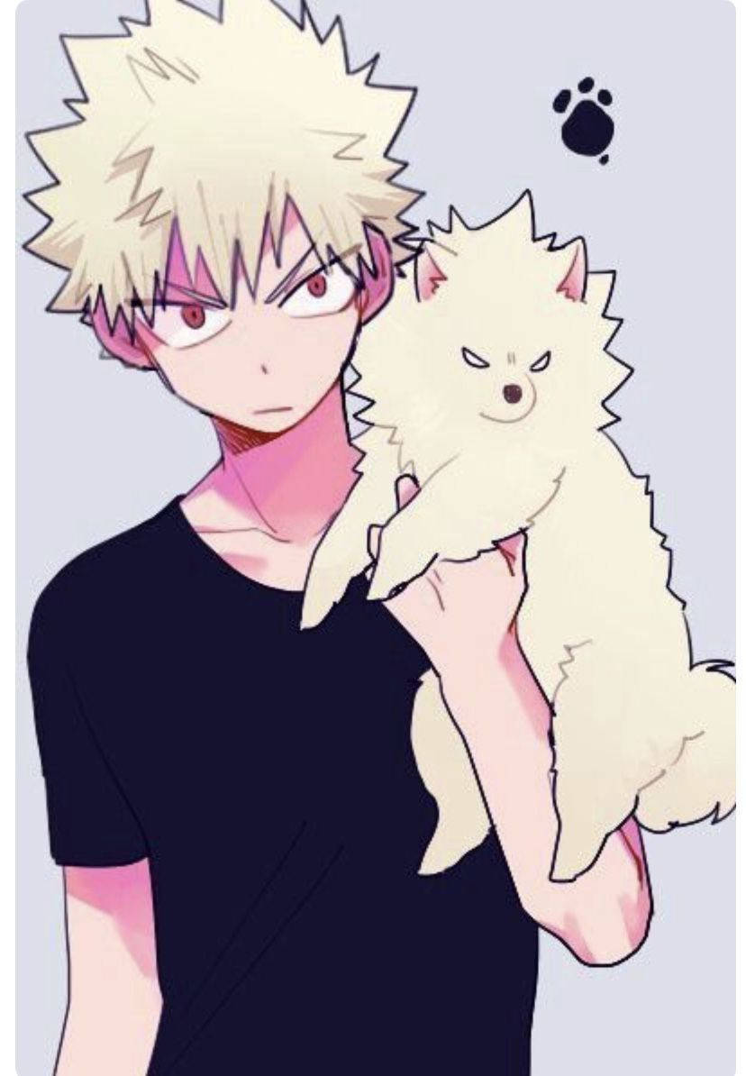 Cute Bakugo, spiky-haired anime boy, black shirt, SD Phone Wallpaper