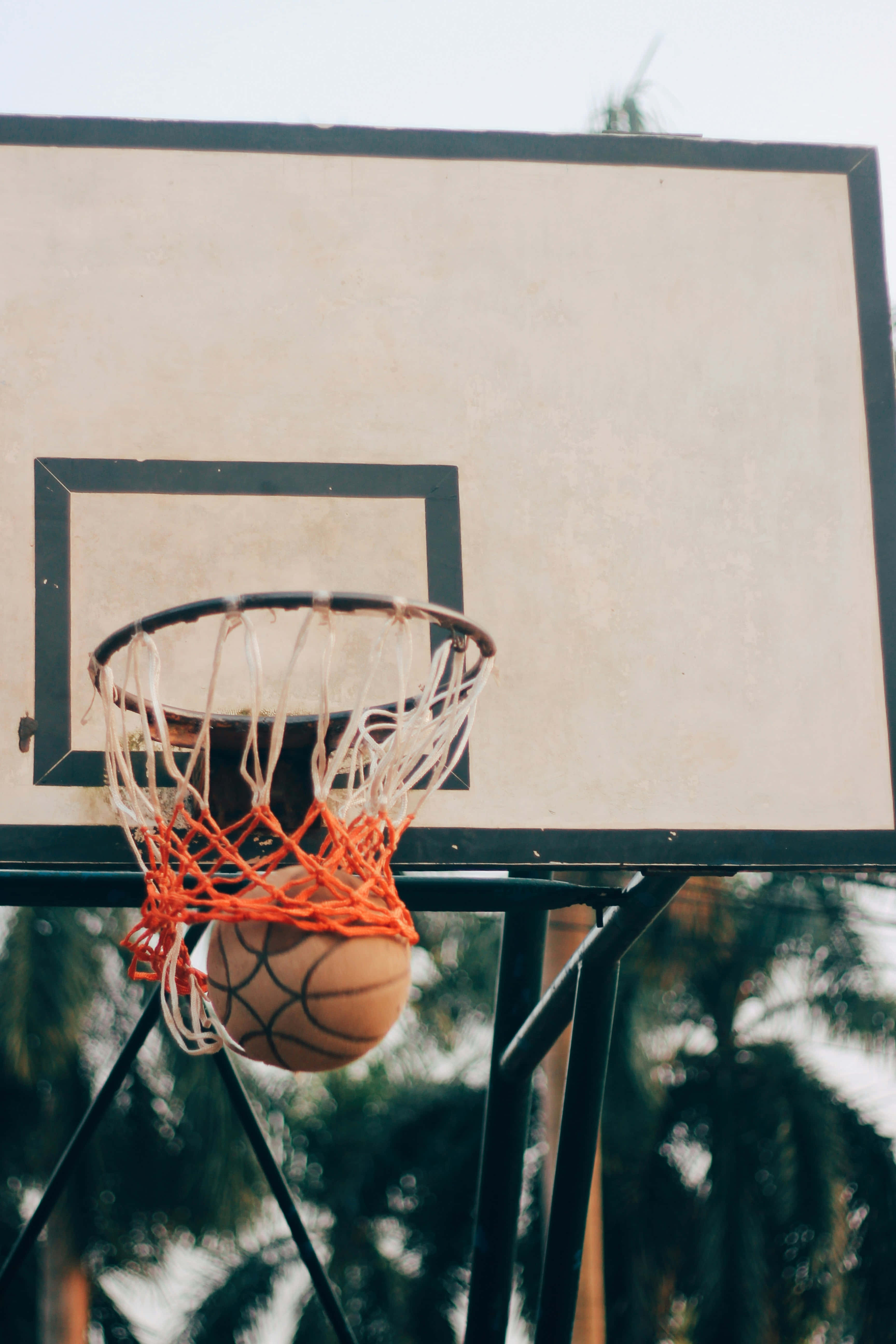 basketball, weathered outdoor hoop, palm trees, 5K Phone Wallpaper