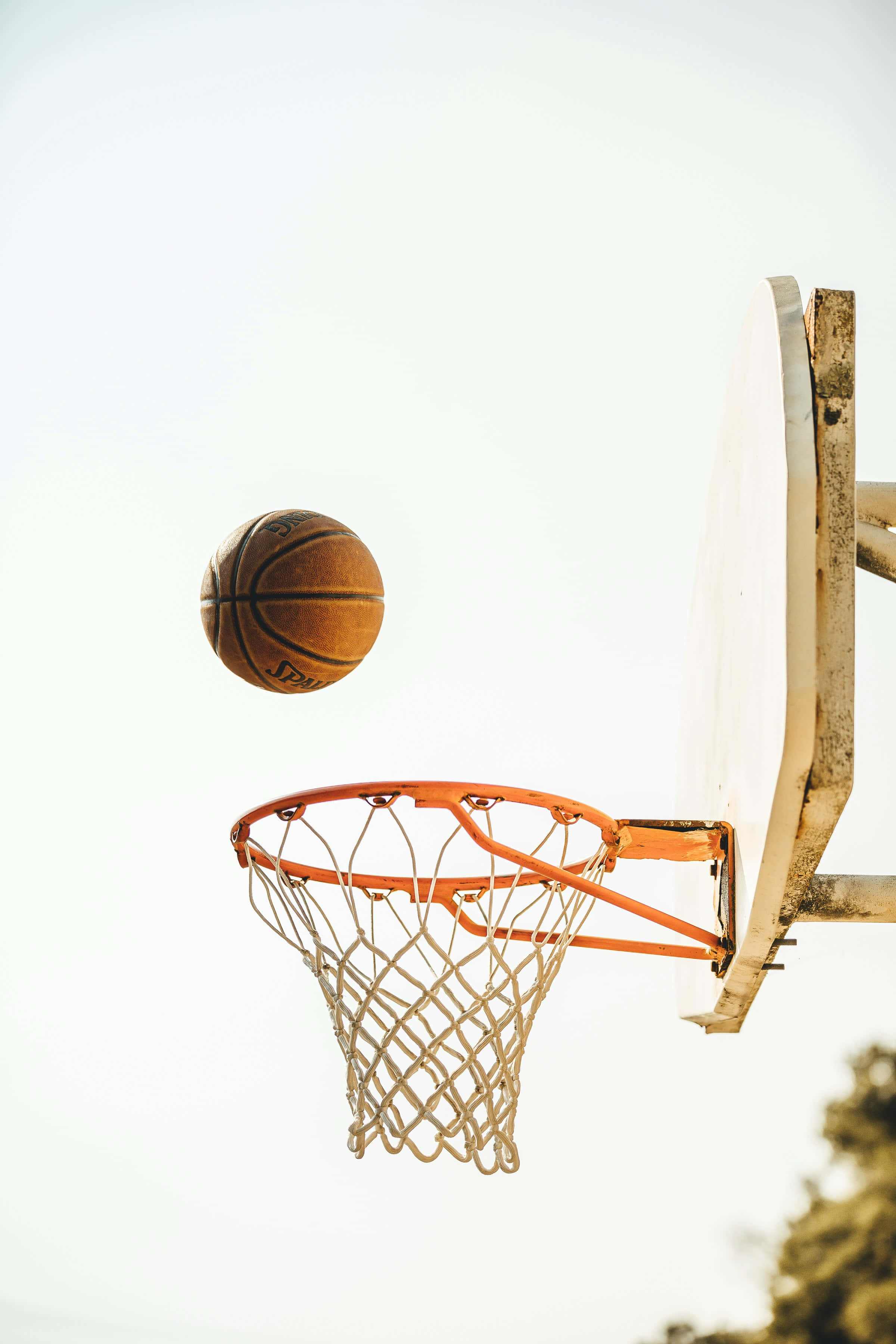 basketball, mid-air, hoop, 2K Phone Wallpaper