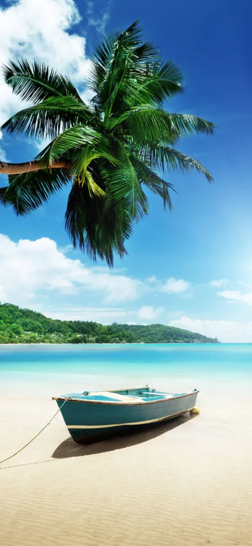 Cute Beach iPhone