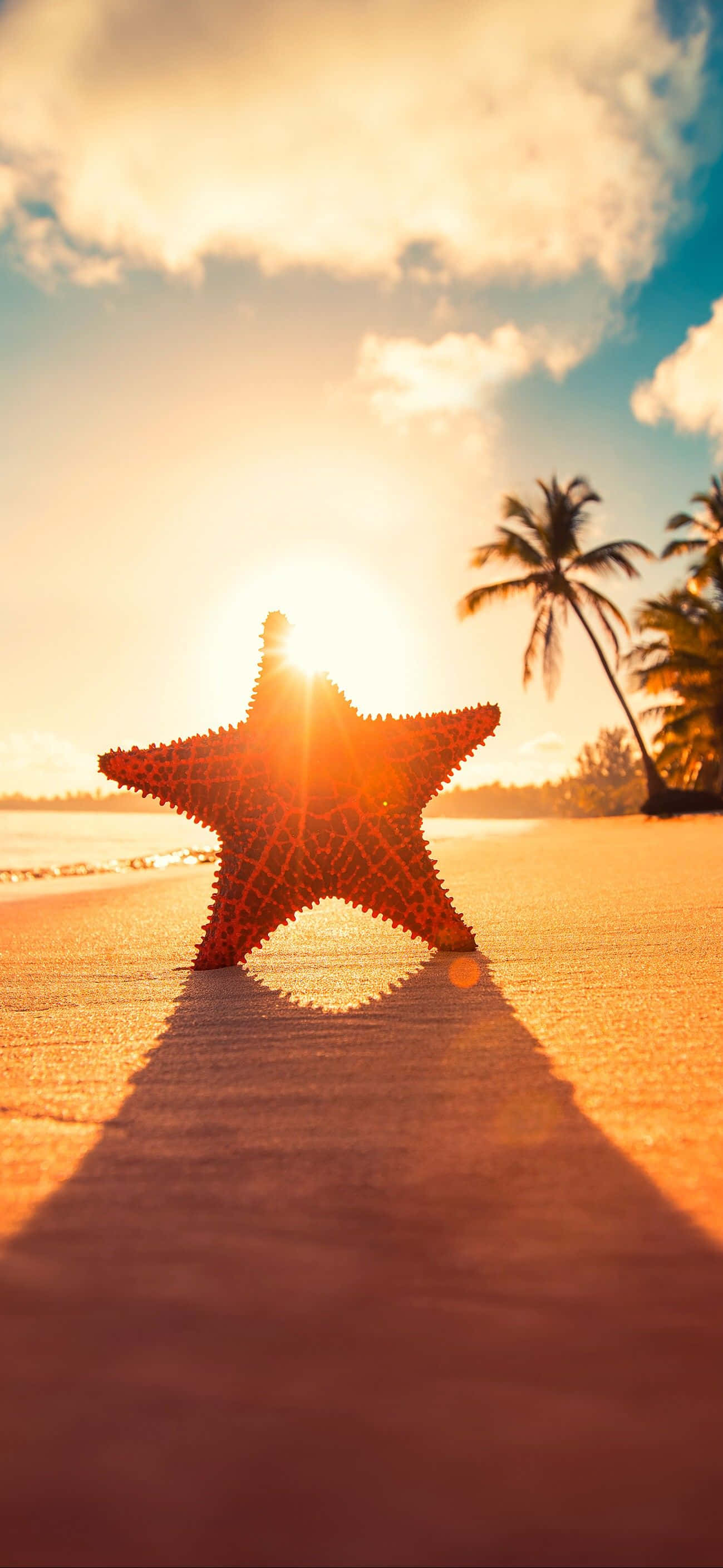 iPhone, golden sunset, tropical beach, 2K Phone Wallpaper