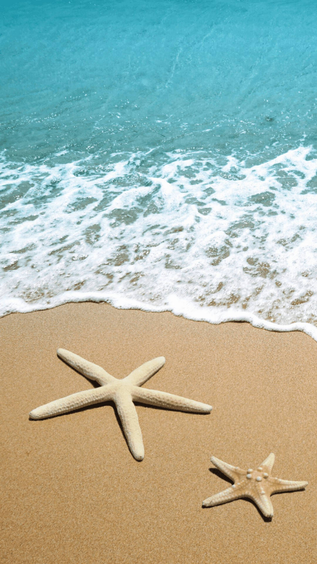 starfish, beach, golden sand, Full HD Phone Wallpaper