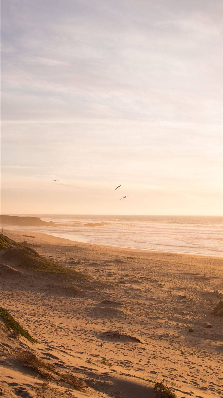 Neutral iPhone, Ocean Beach, Golden hour, HD Phone Wallpaper
