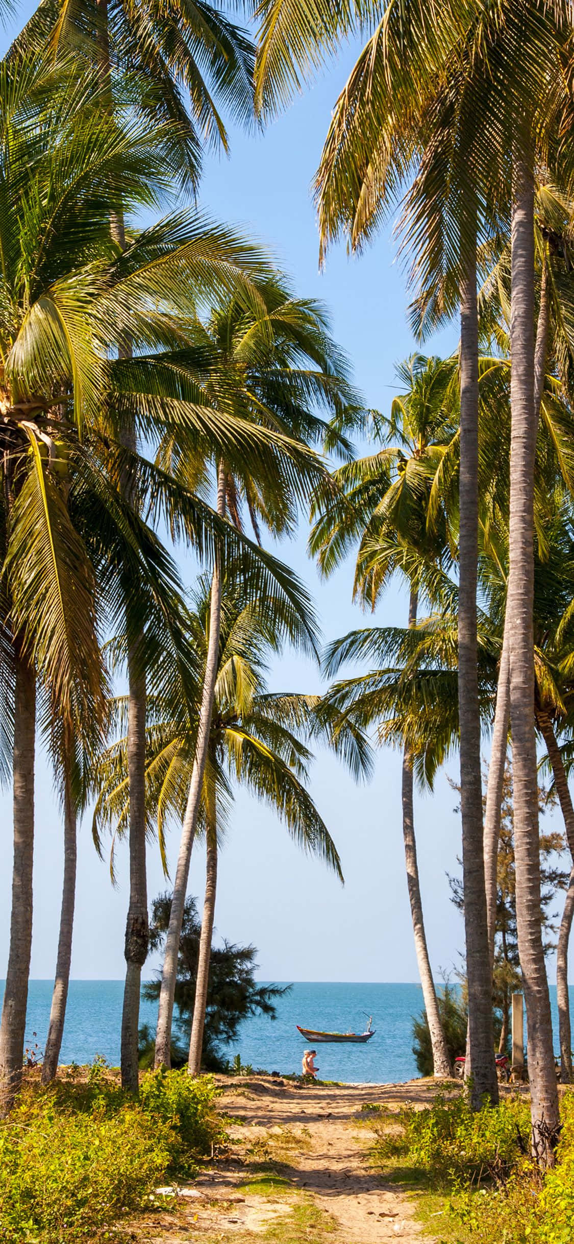 tropical beach, palm trees, sunlit path, Full HD Phone Wallpaper