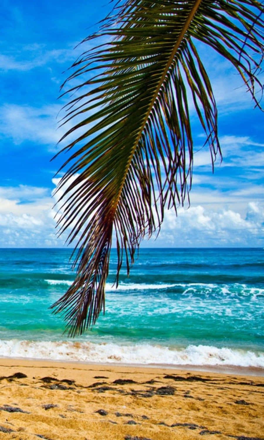 cute beach, turquoise waves, golden sand, HD Phone Wallpaper