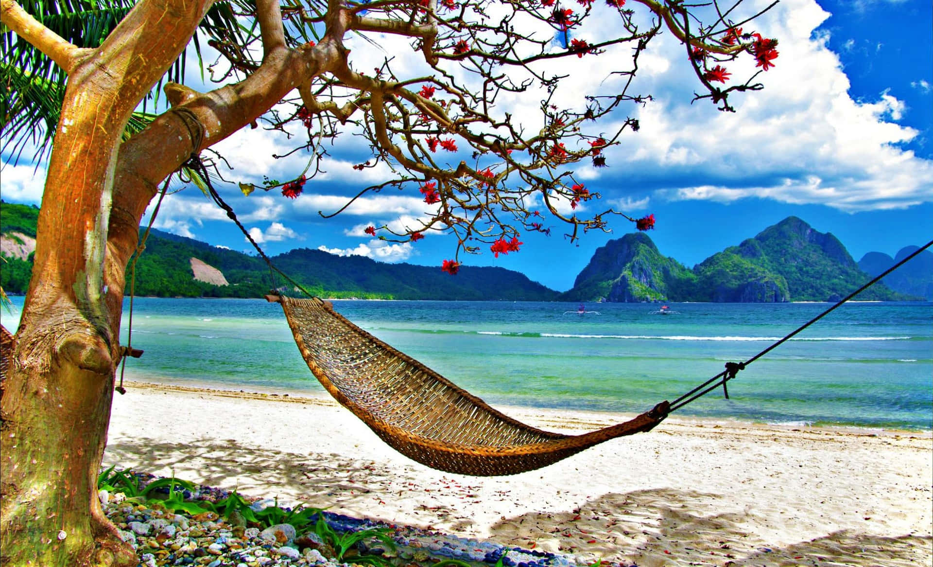 woven hammock, flowering tree, white sandy beach, Full HD Desktop Wallpaper