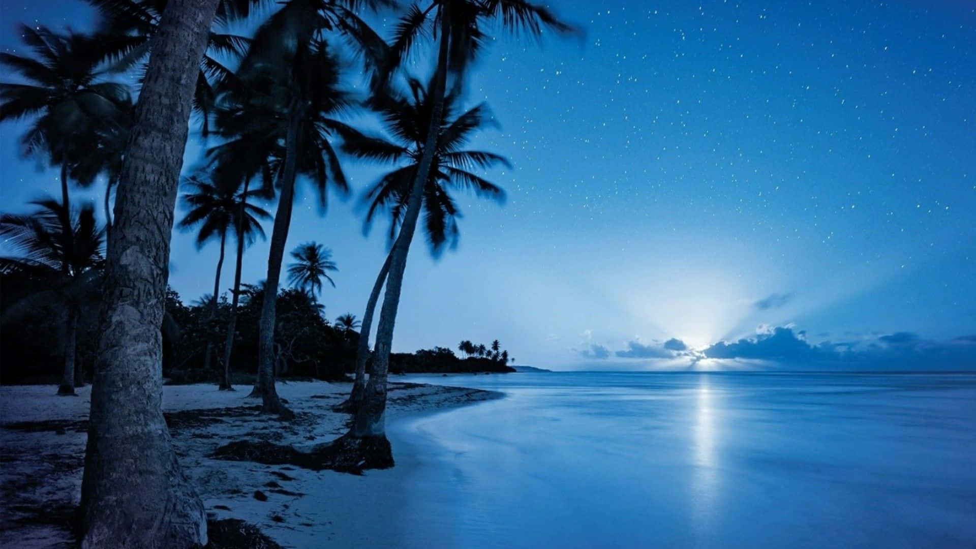 1920x1080, hd beach, tropical beach, Full HD Desktop Wallpaper