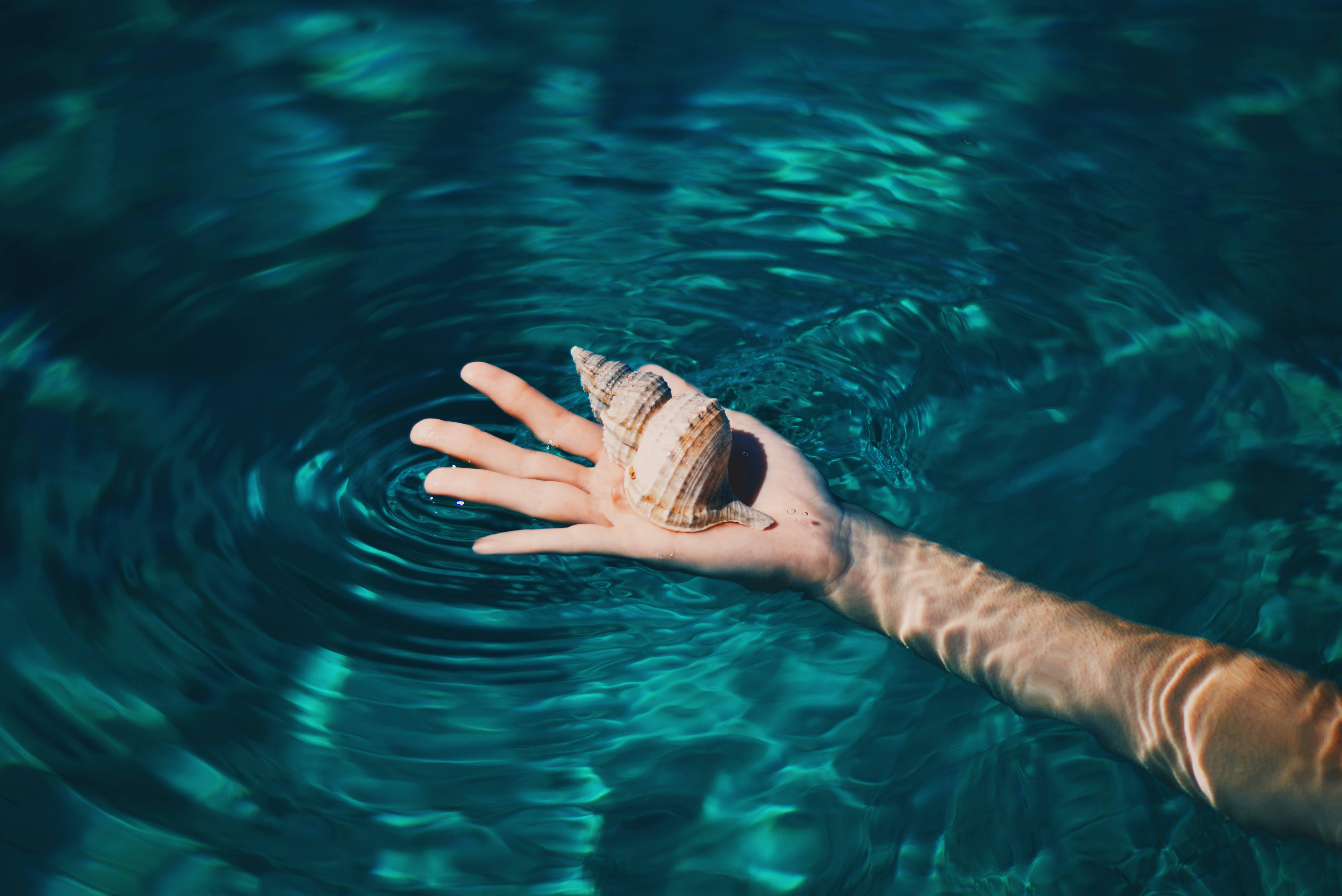 1920x1080, turquoise water, spiral seashell, 5K Desktop Wallpaper
