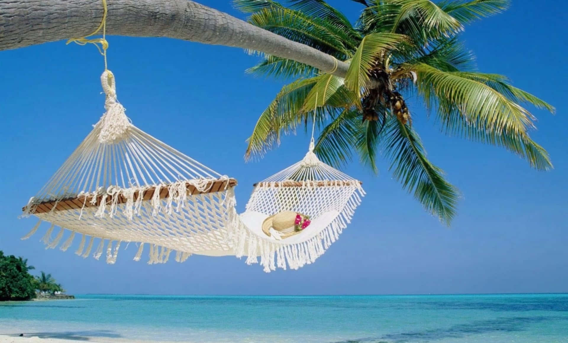 white macrame hammocks, palm tree, turquoise ocean, Full HD Desktop Wallpaper