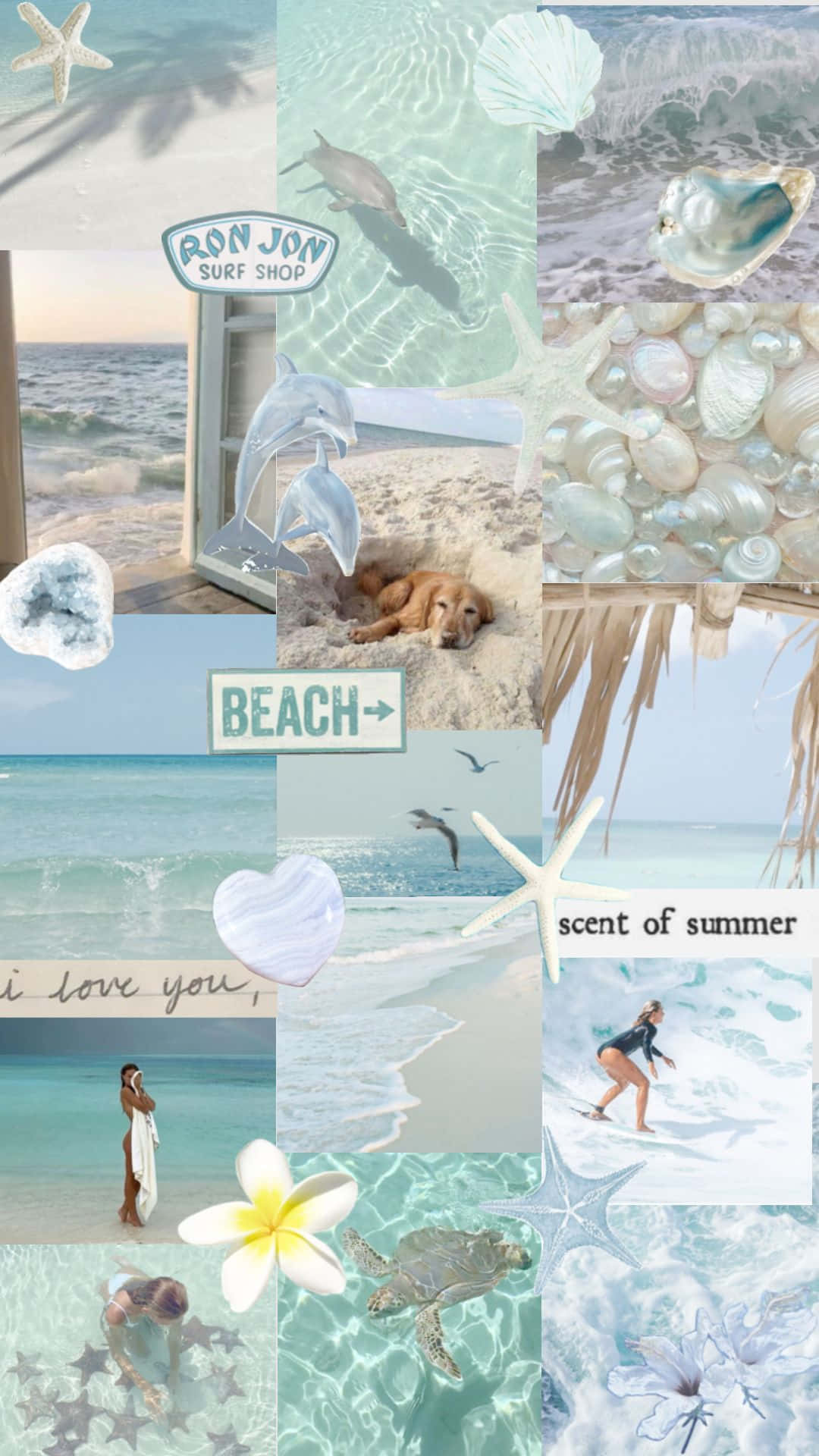 beach girl aesthetic, dolphins, surfboards, Full HD Phone Wallpaper