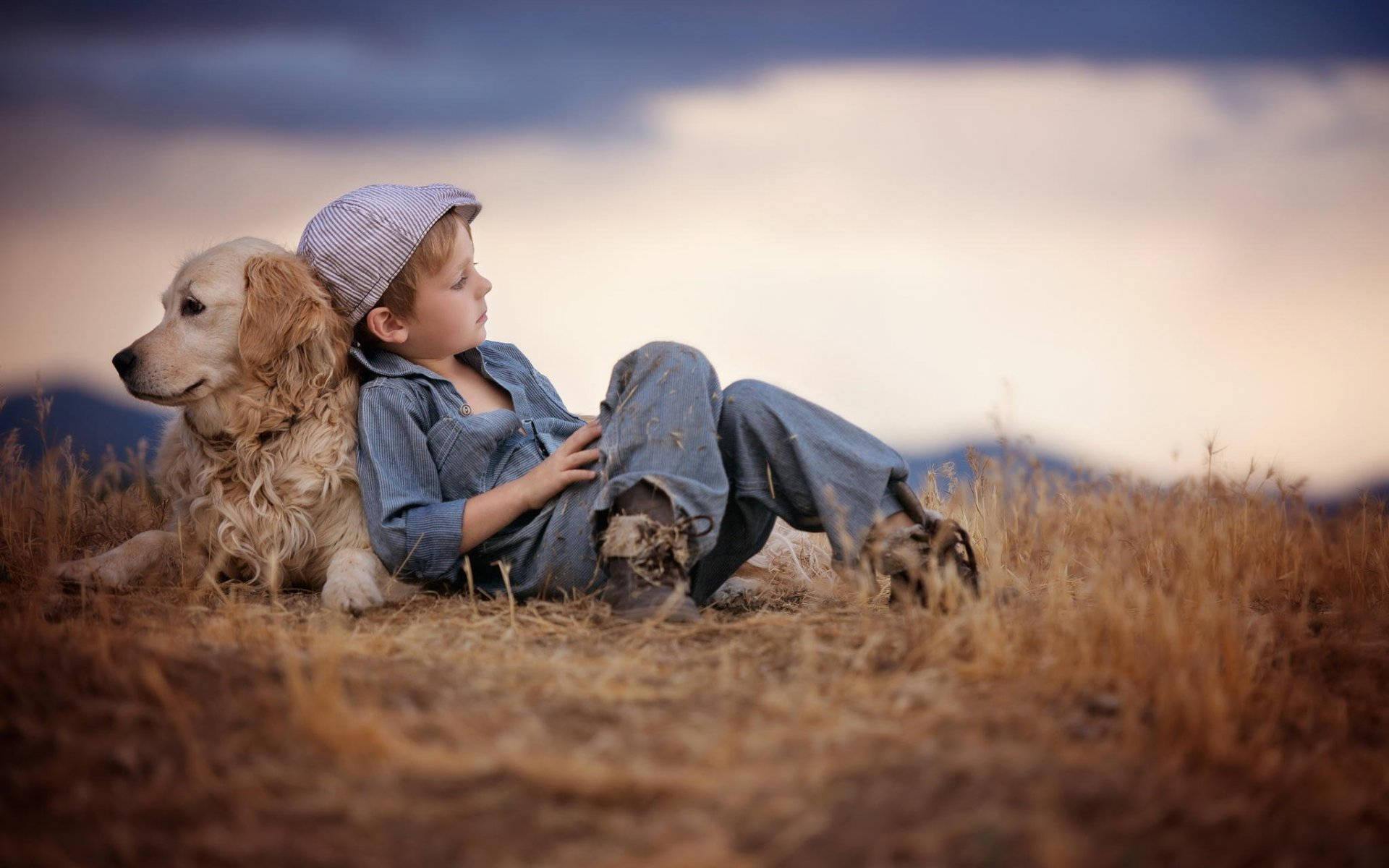 golden retriever, young boy, cap, Full HD Desktop Wallpaper