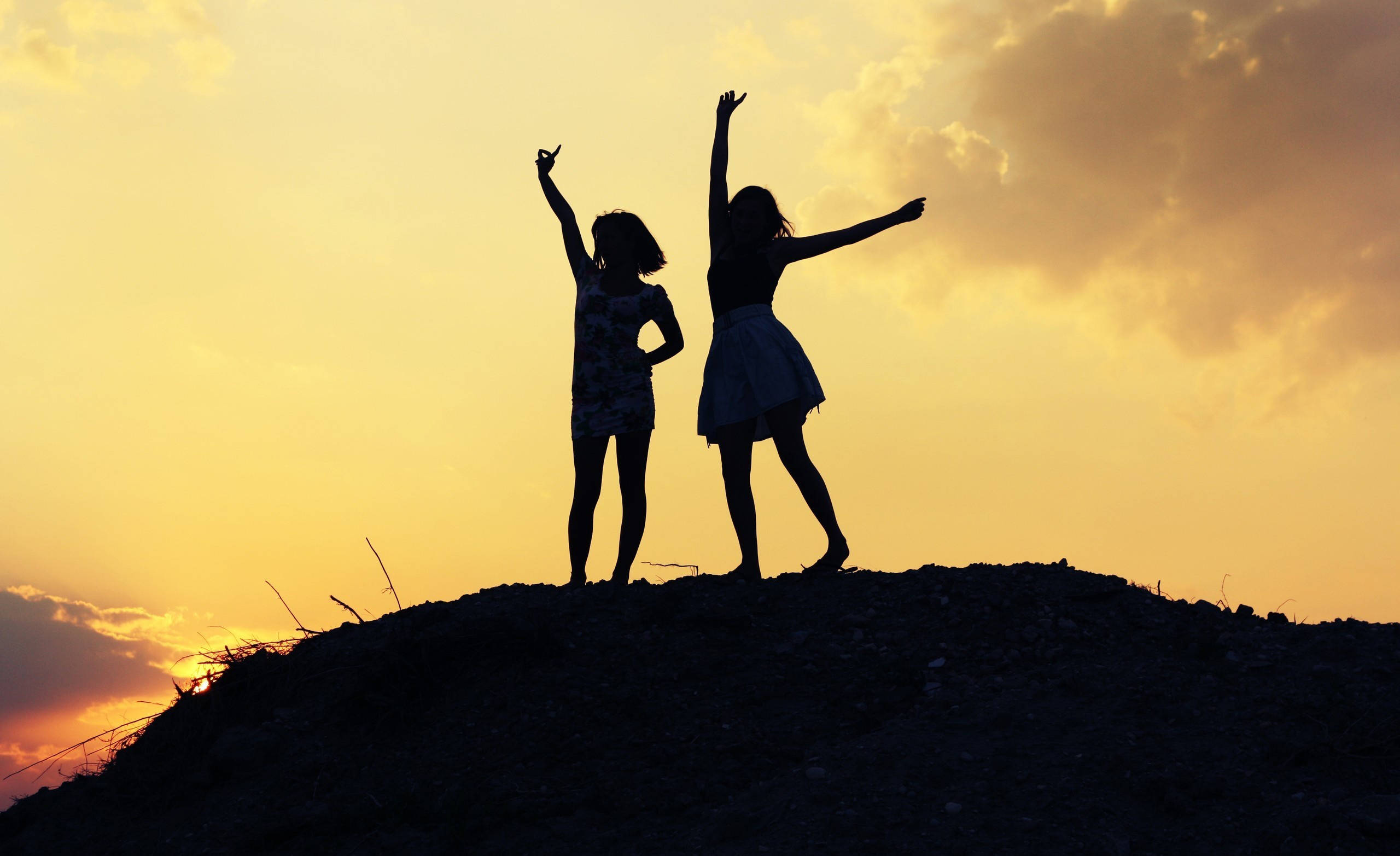 cute girl best friend, silhouette, golden sunset sky, 2K Desktop Wallpaper