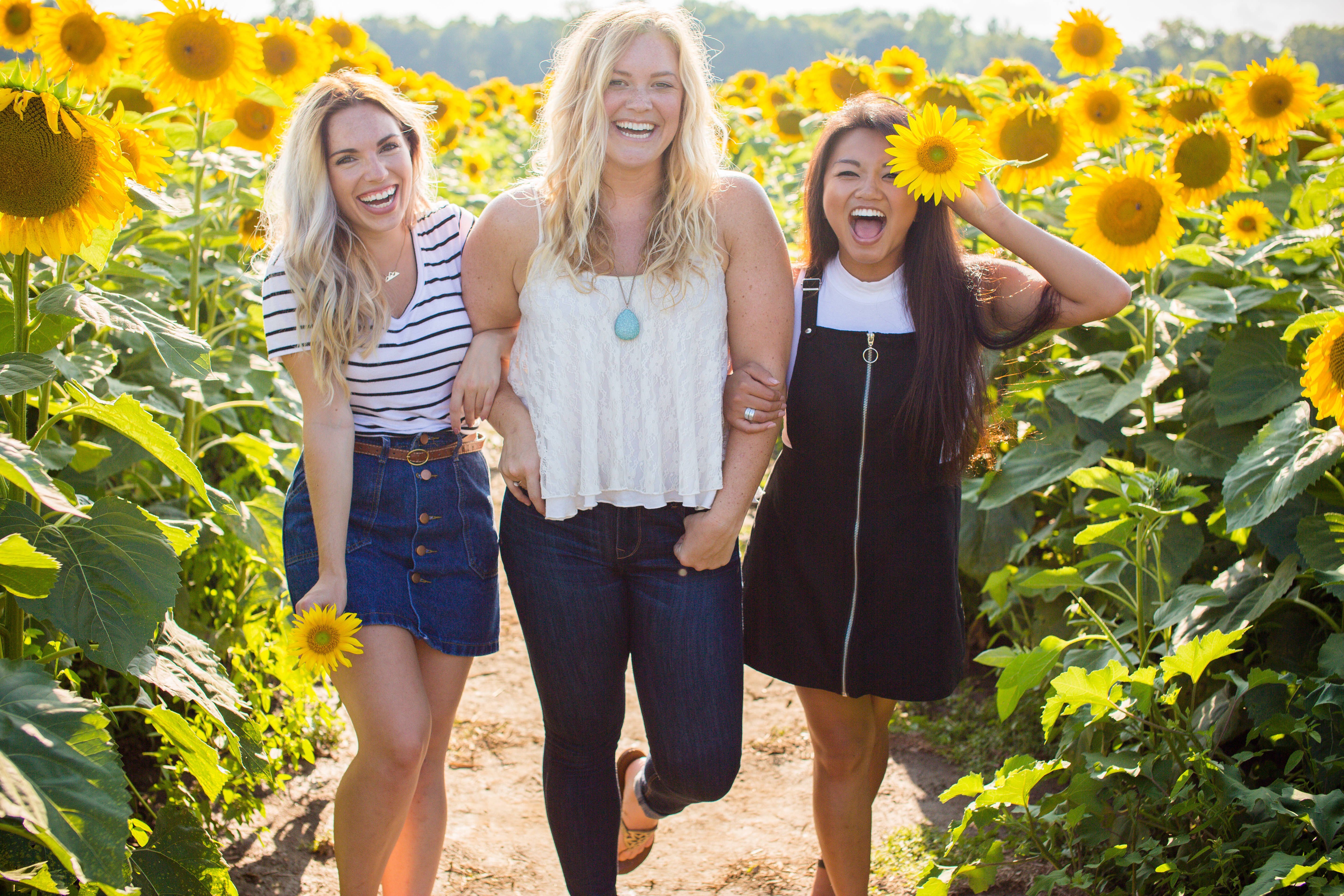 sunflowers, summer sun, three joyful women, 5K Desktop Wallpaper