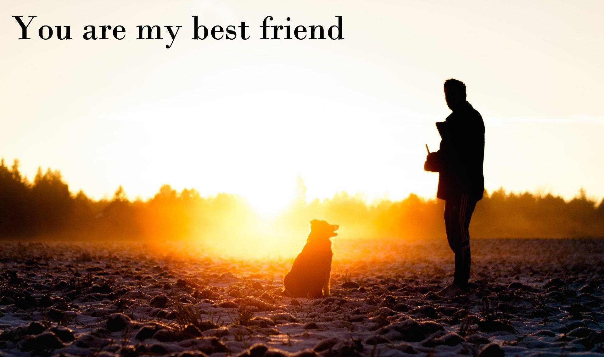 cute best friend, silhouette, person and dog, Full HD Desktop Wallpaper