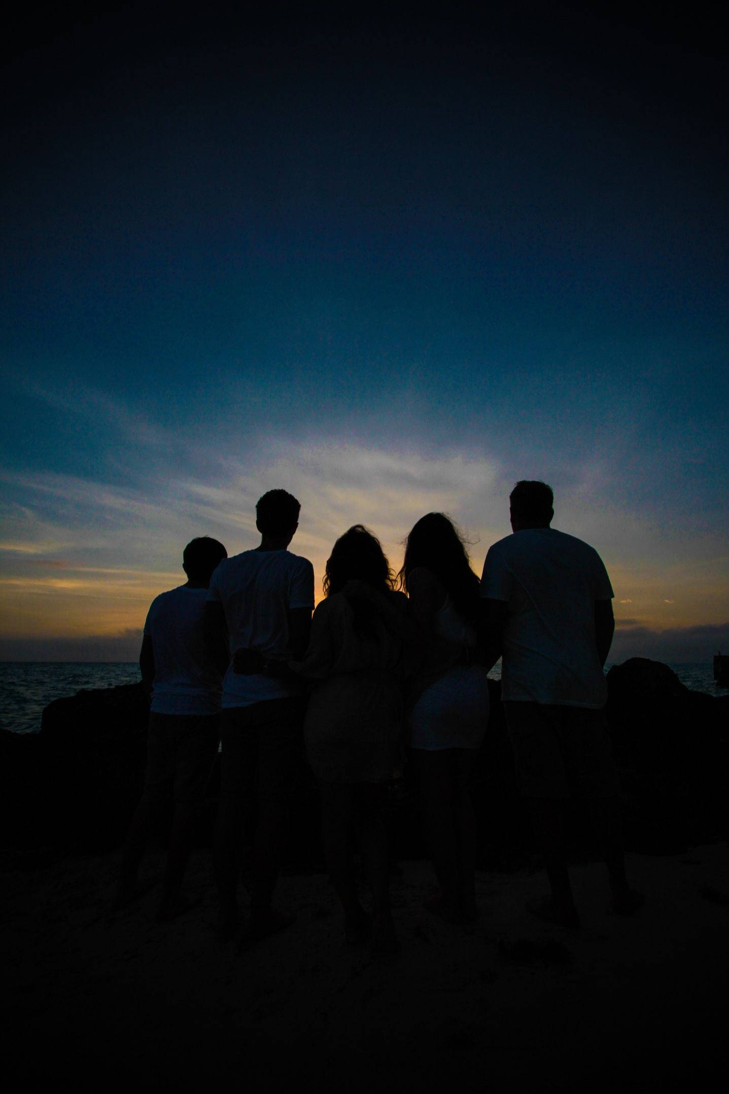 Cute Best Friend, silhouette, beach, Full HD Phone Wallpaper