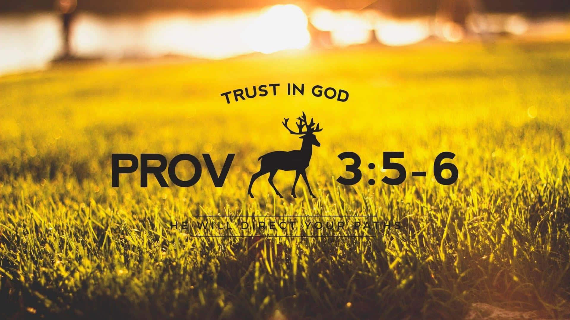 TRUST IN GOD PROV 3:5-6 HE WILL DIRECT YOUR PATHS, golden sunset, grassy field, Full HD Desktop Wallpaper