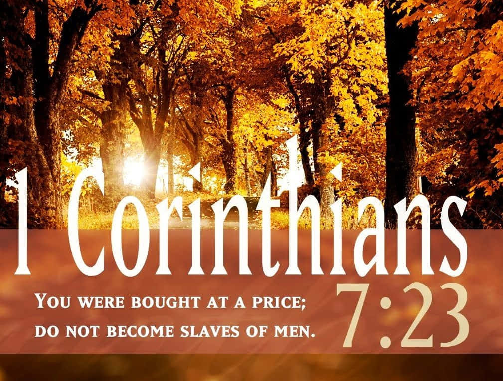 1 Corinthians 7:23, golden autumn forest, warm sunlight, SD Desktop Wallpaper