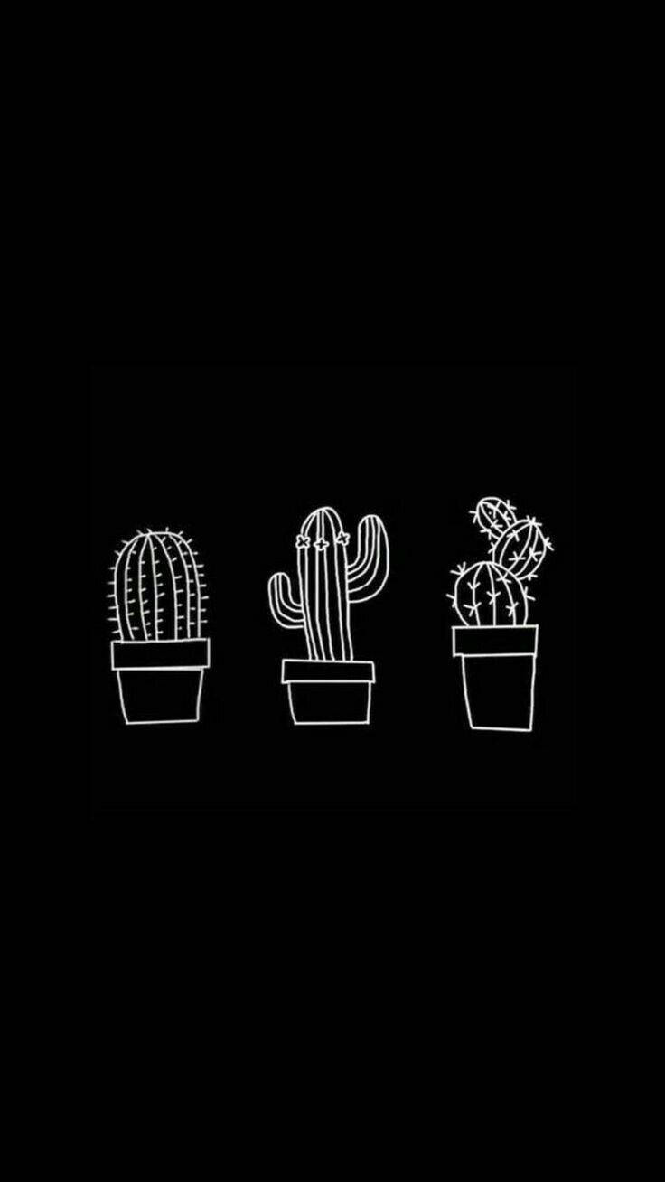 Cute Black Cactus Aesthetic, white line drawings, potted cacti, HD Phone Wallpaper