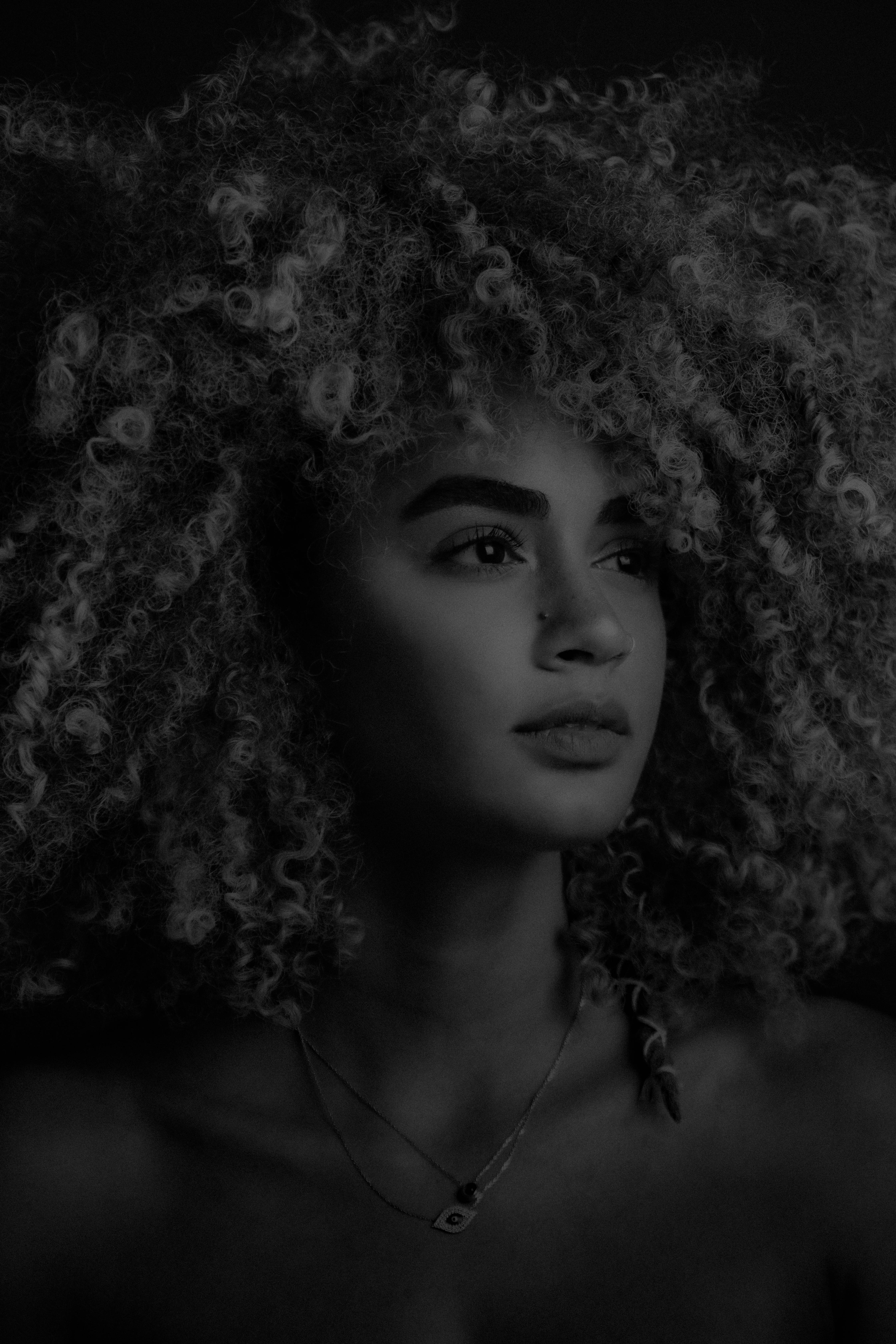 black and white girl portrait, monochrome portrait, voluminous curly hair, 5K Phone Wallpaper