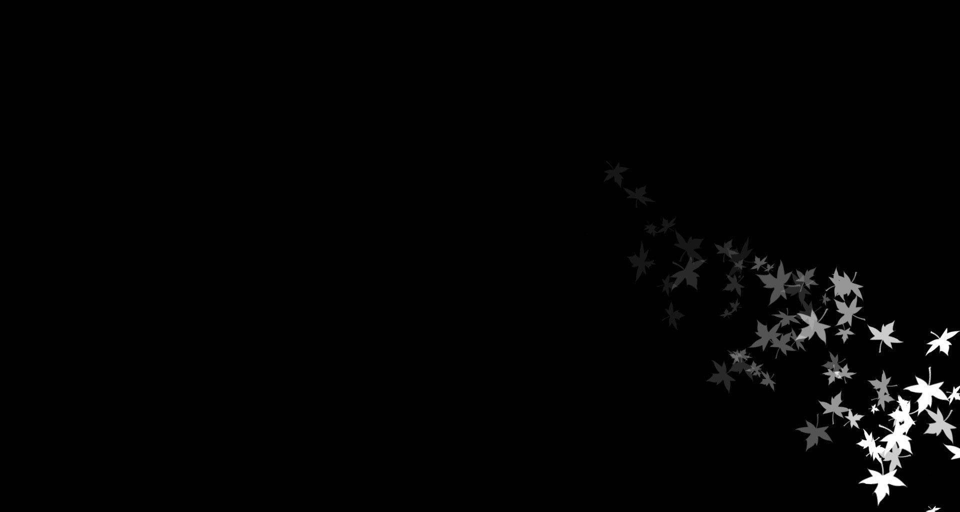 black kitten, playful mood, white maple leaf silhouettes, Full HD Desktop Wallpaper