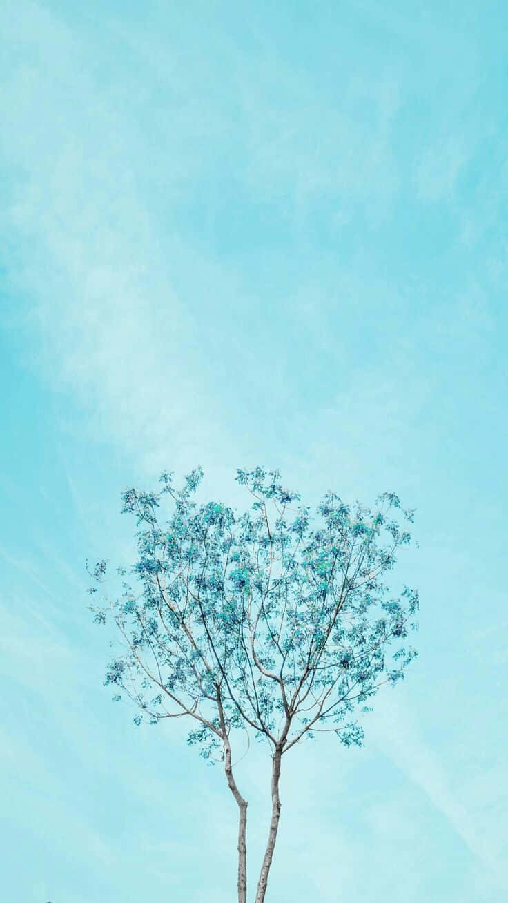 cute blue iphone, blue-green leaves, soft cyan sky, HD Phone Wallpaper