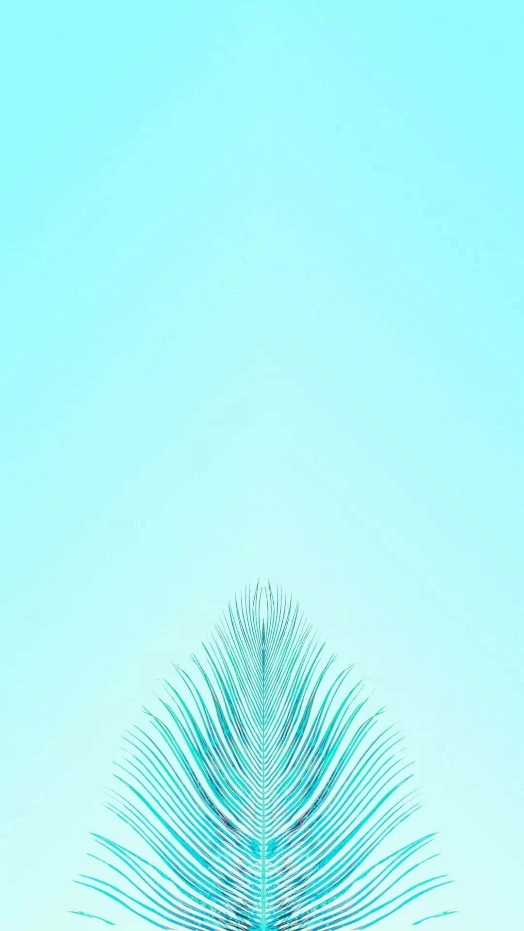 cute blue iPhone, teal feather silhouette, soft gradient sky blue background, Full HD Phone Wallpaper