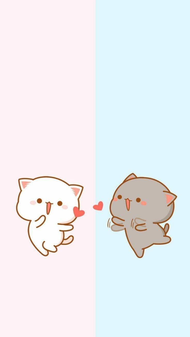 cute blue pink cat phone, Adorable Blue and Pink Cat Phone, white cat, HD Phone Wallpaper