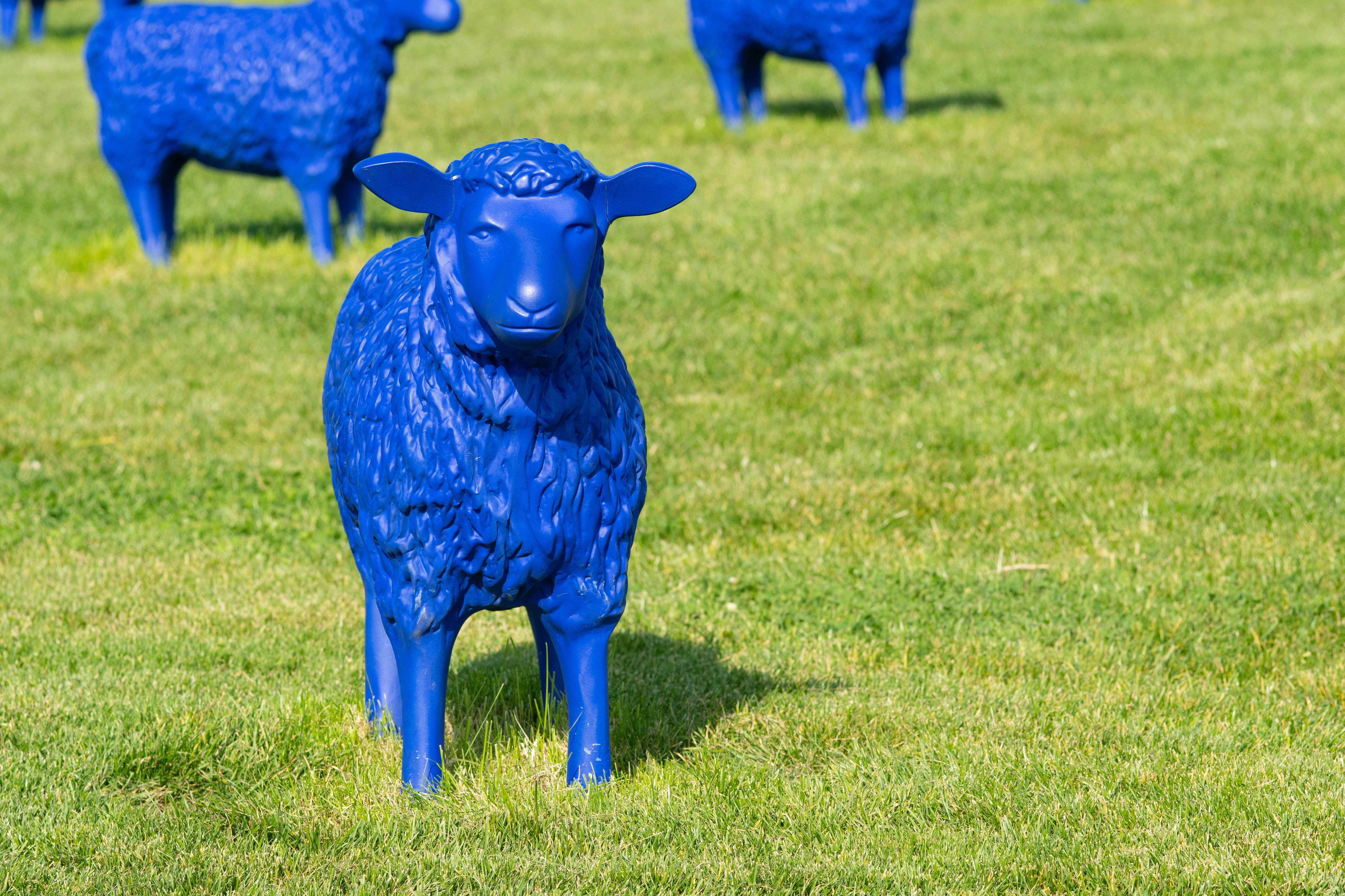cute blue sheep statue, vivid blue, sunlit green field, 5K Desktop Wallpaper