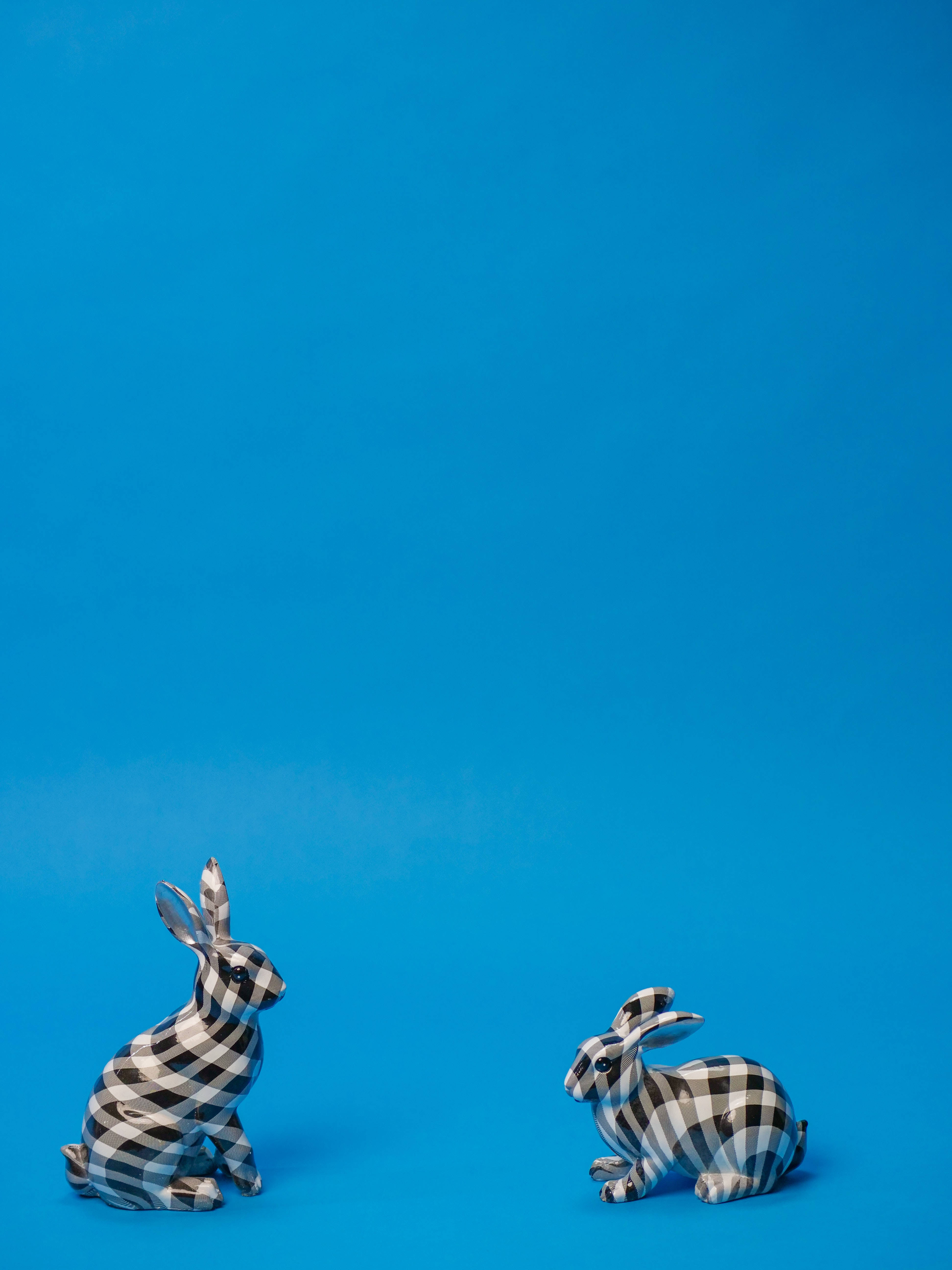 cute blue checkers rabbits, black and white checkered, blue background, 5K Phone Wallpaper