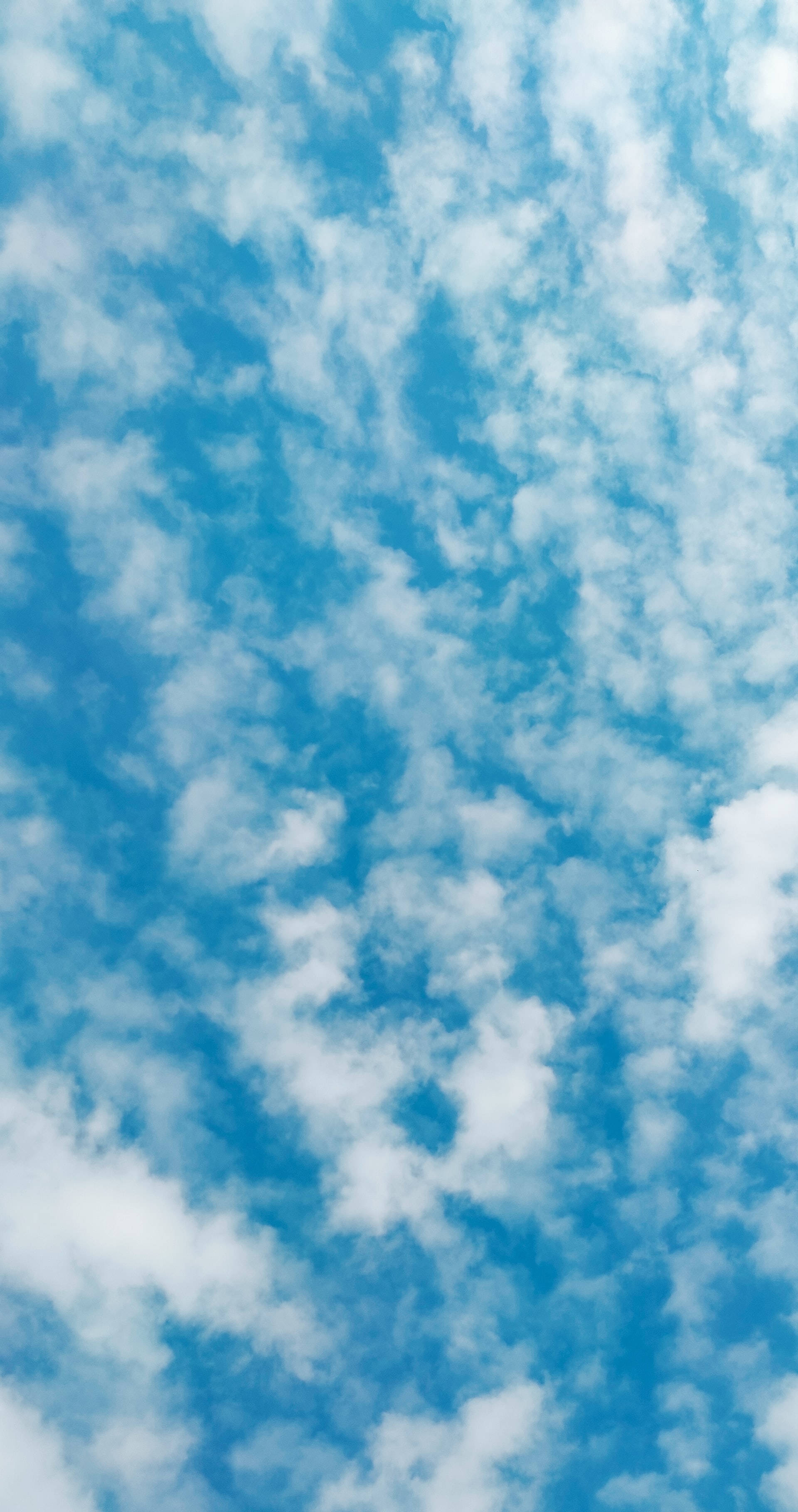 Cute Blue, vibrant blue sky, fluffy white clouds, 2K Phone Wallpaper