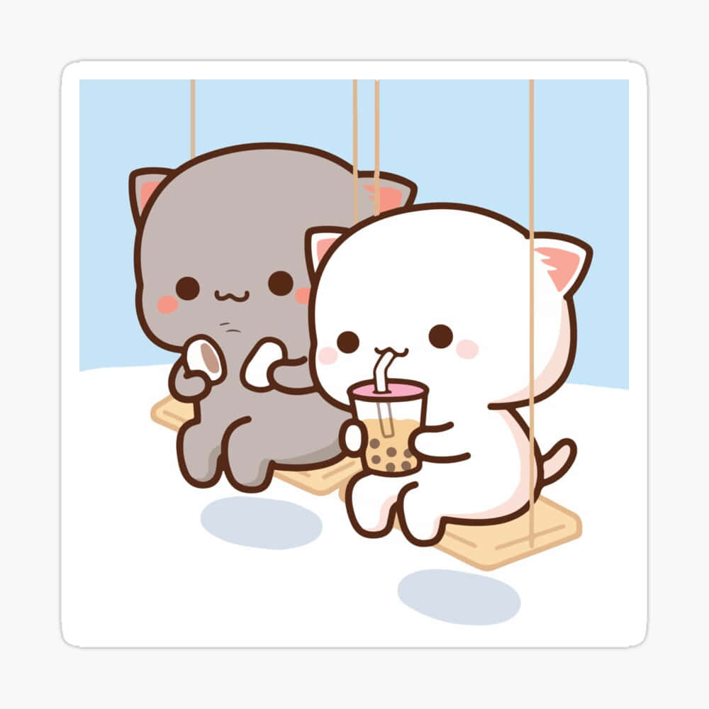 Cute Boba, white and gray cat, swing, SD Desktop Wallpaper