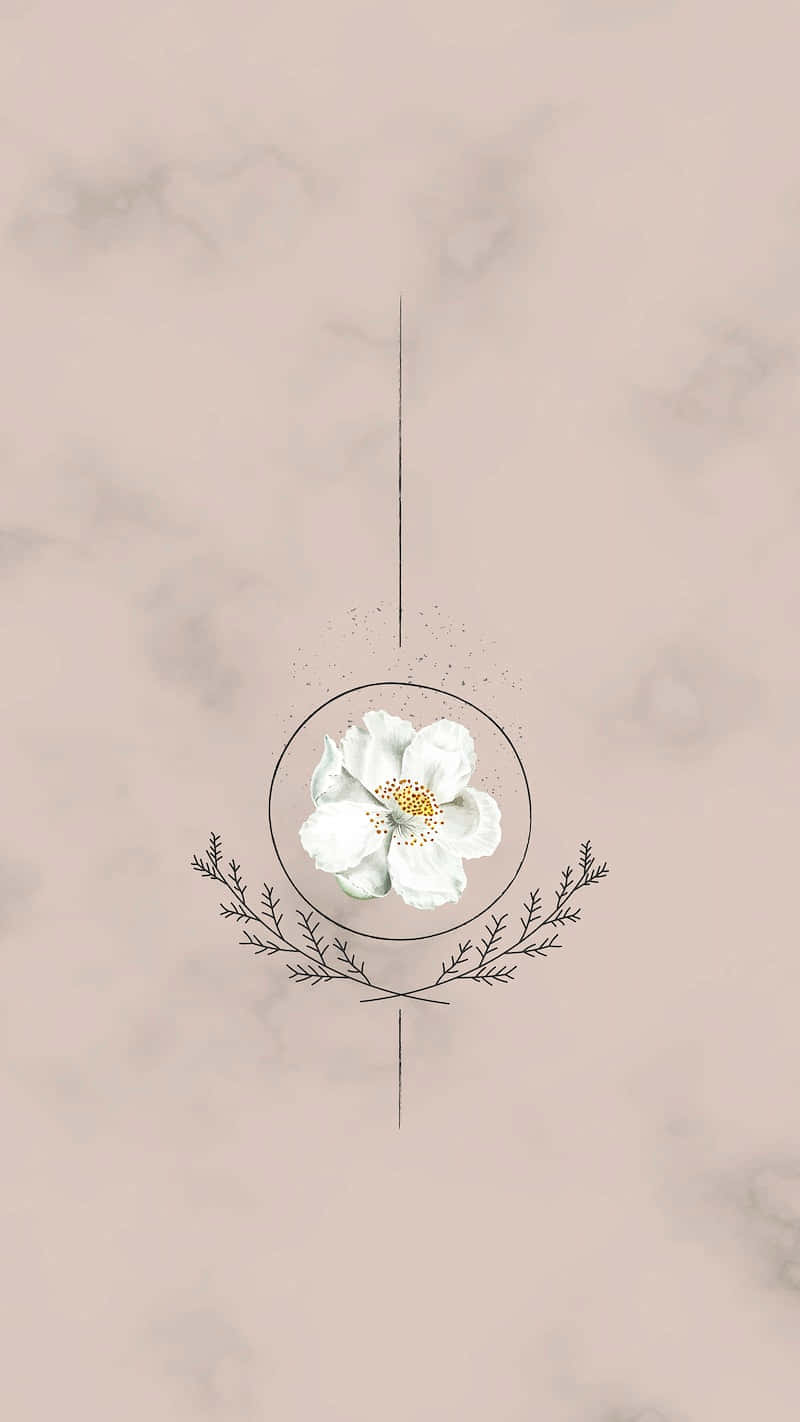 white flower, golden center, minimalist circle, HD Phone Wallpaper