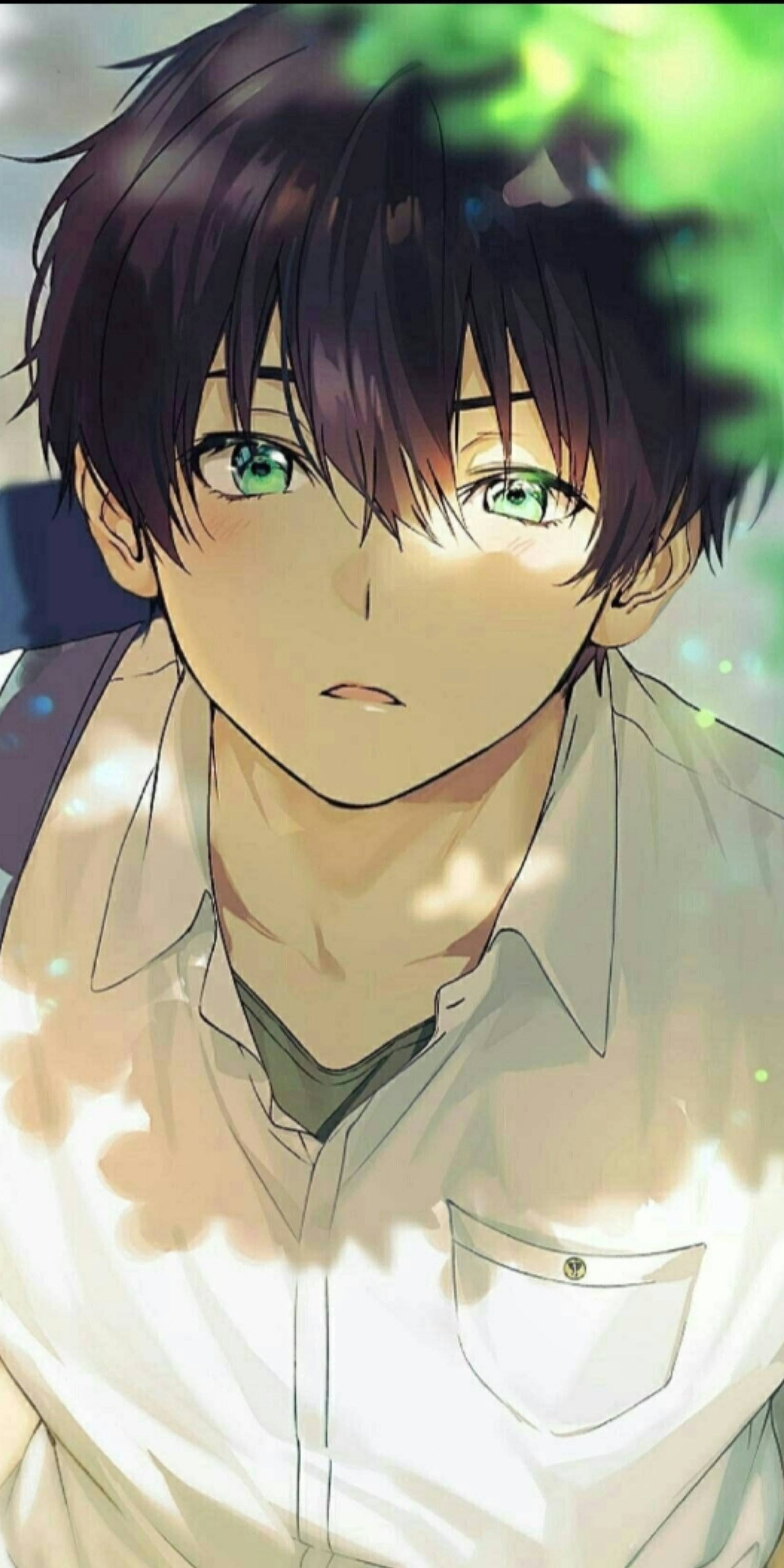 anime boy, green eyes, dark hair, 4K Phone Wallpaper