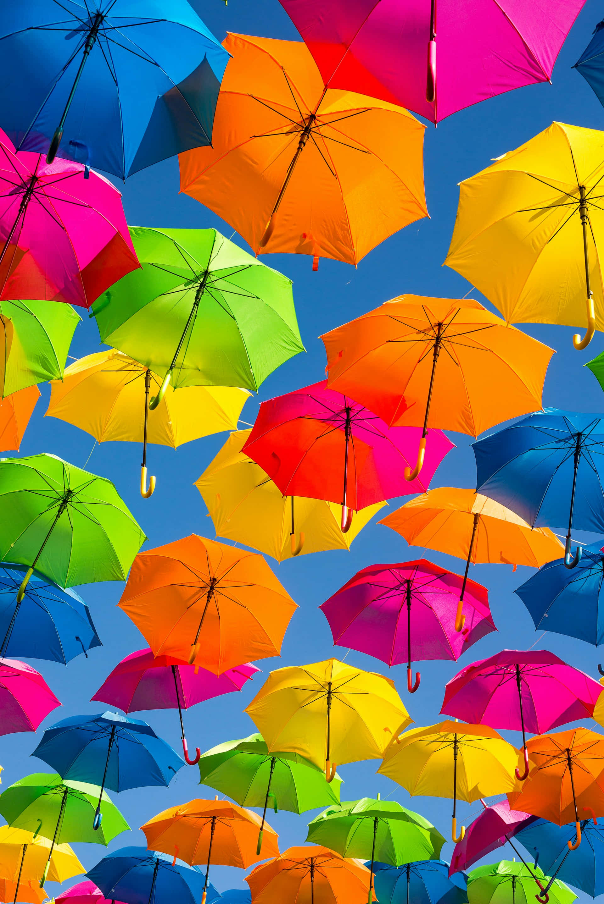 colorful umbrella, multicolored umbrellas, clear blue sky, 2K Phone Wallpaper