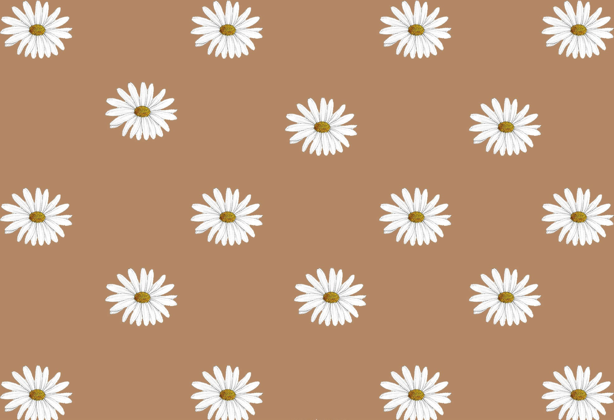 floral beige brown aesthetic, white daisies, yellow centers, Full HD Desktop Wallpaper