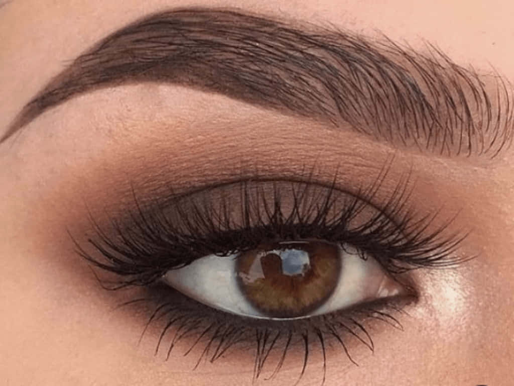 brown eyed girl, human eye, long lashes, SD Desktop Wallpaper