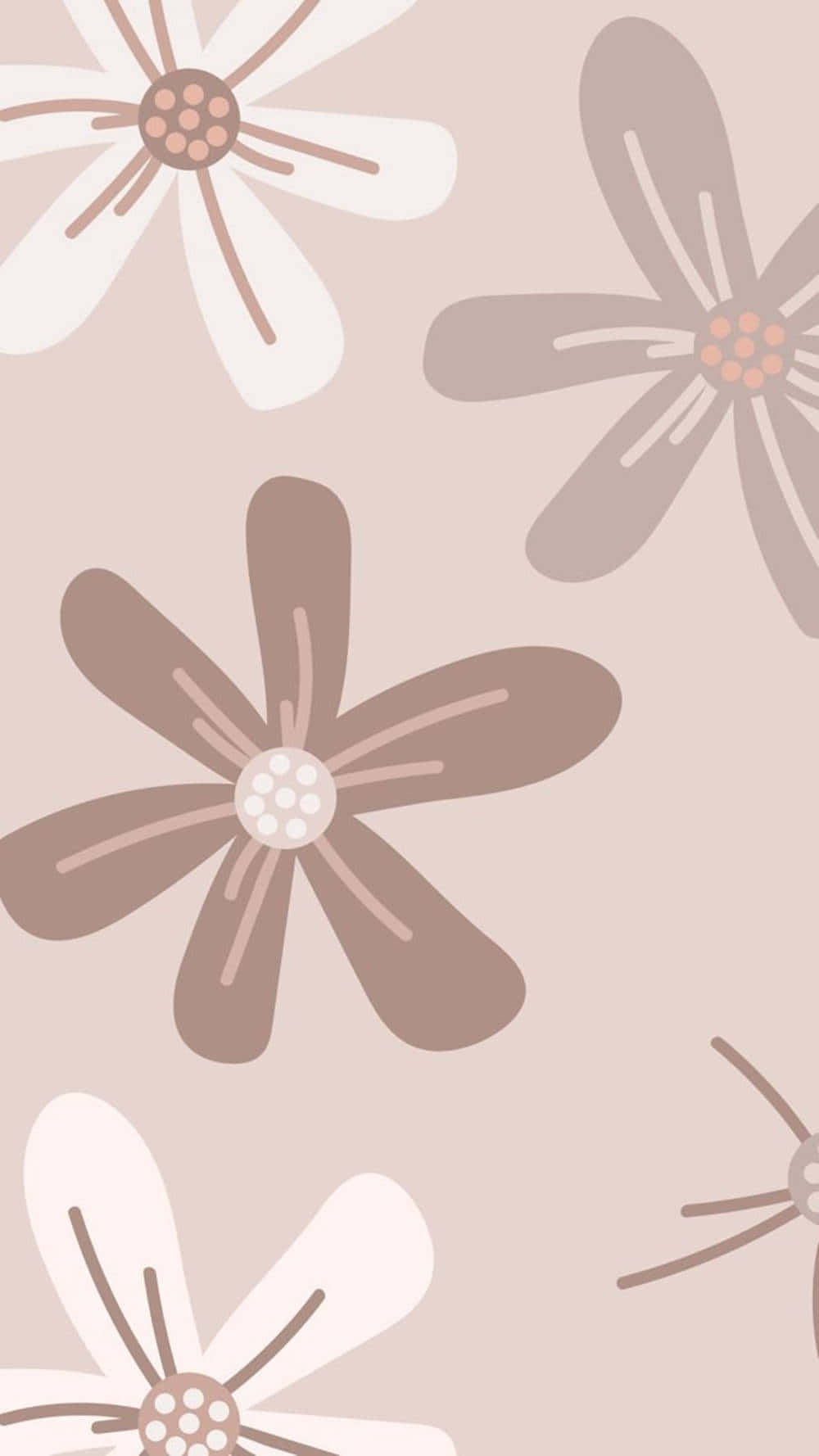 cute brown floral aesthetic, soft beige, white, HD Phone Wallpaper