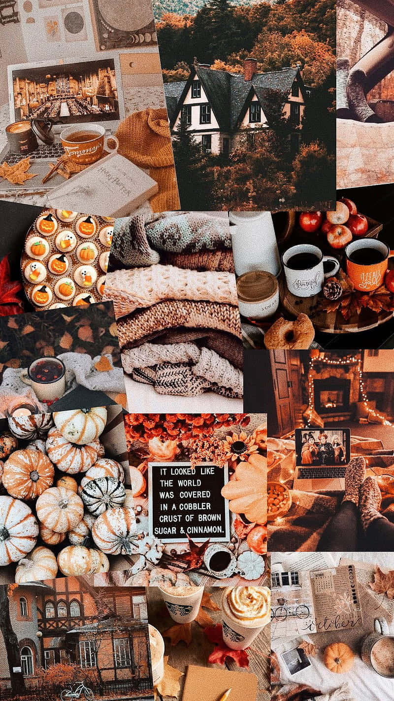 cozy brown aesthetic, autumn, pumpkins, HD Phone Wallpaper