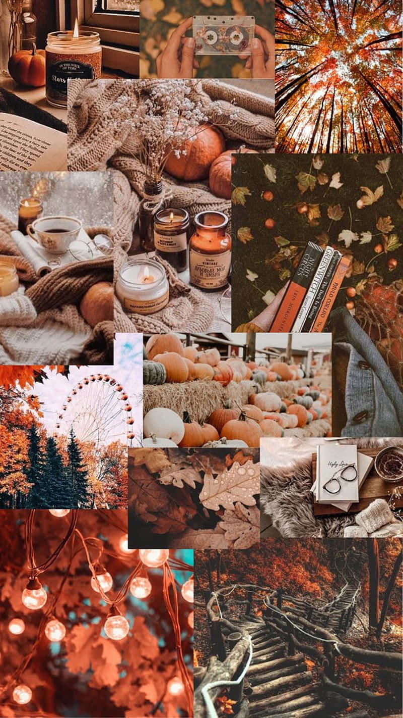 cozy autumn collage, pumpkins, candles, HD Phone Wallpaper