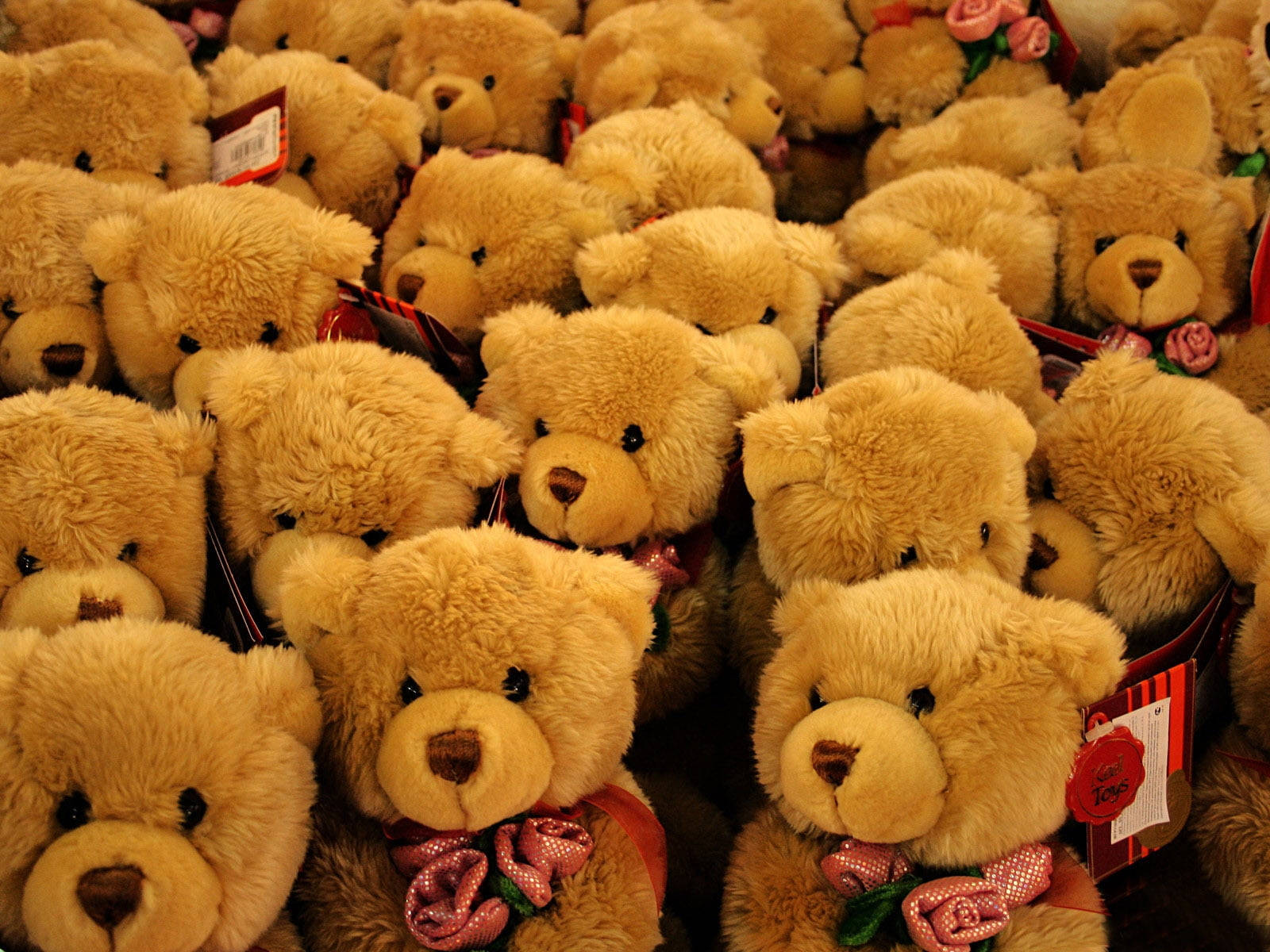golden-brown teddy bears, pink rose bows, red tags, HD Desktop Wallpaper