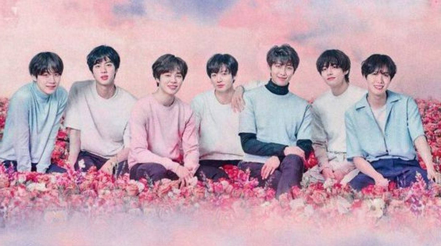 BTS, pink flower field, pink roses, HD Desktop Wallpaper