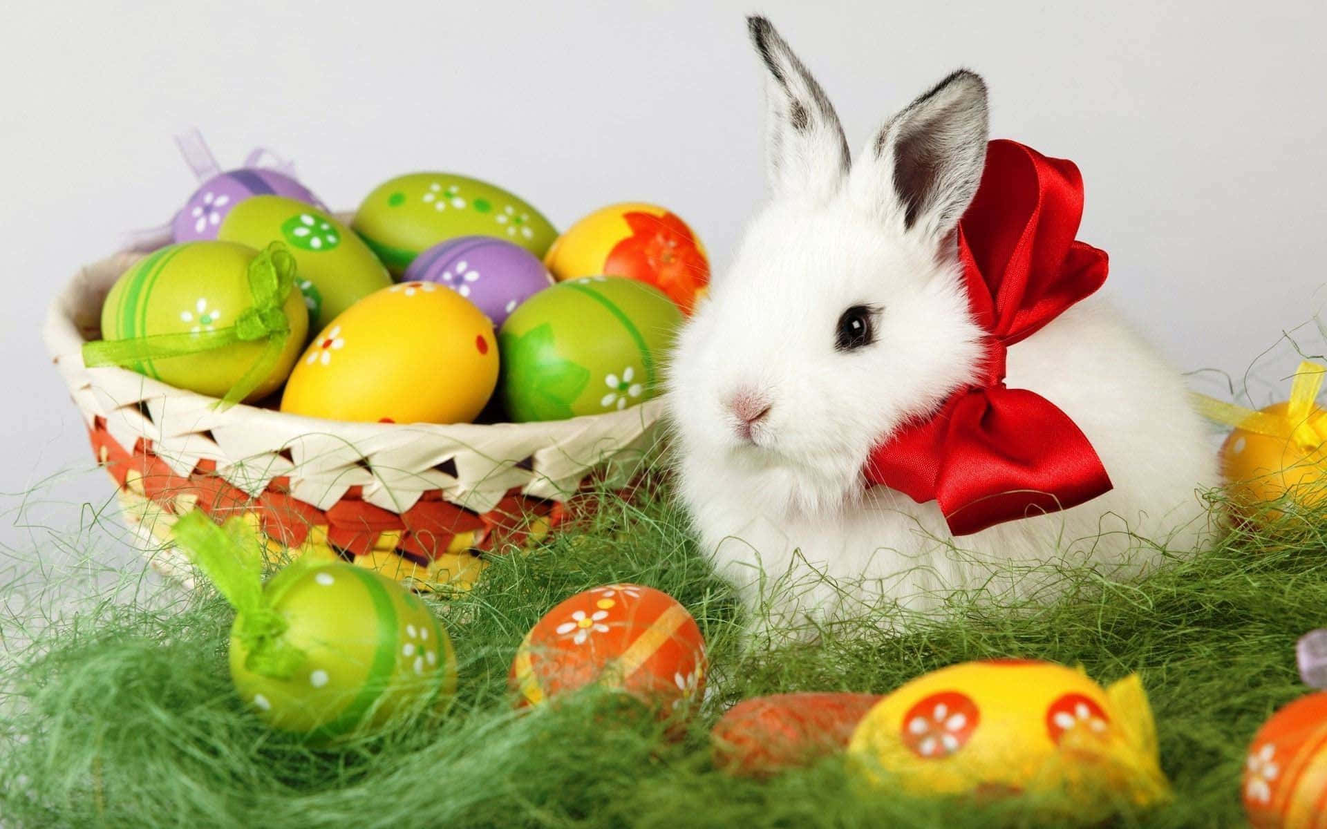 cute bunny iphone, fluffy white rabbit, red bow, Full HD Desktop Wallpaper