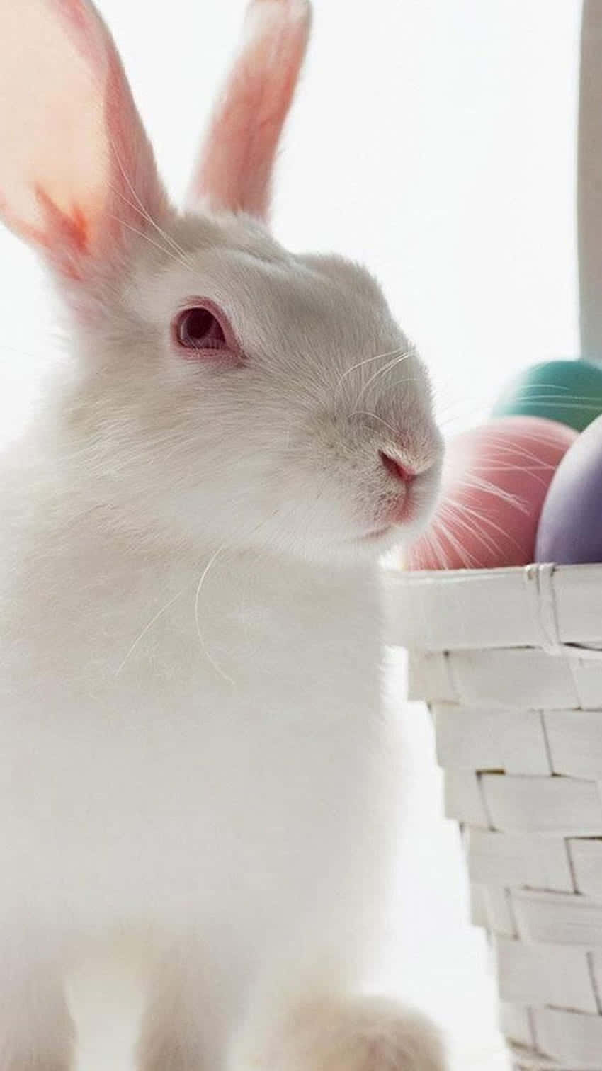 white rabbit, pink ears, basket of colorful Easter eggs, HD Phone Wallpaper