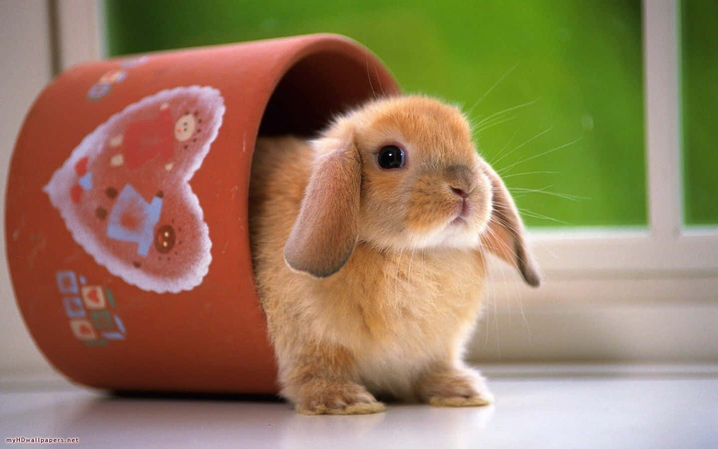 fluffy orange lop-eared rabbit, decorated terracotta pot, windowsill, HD Desktop Wallpaper