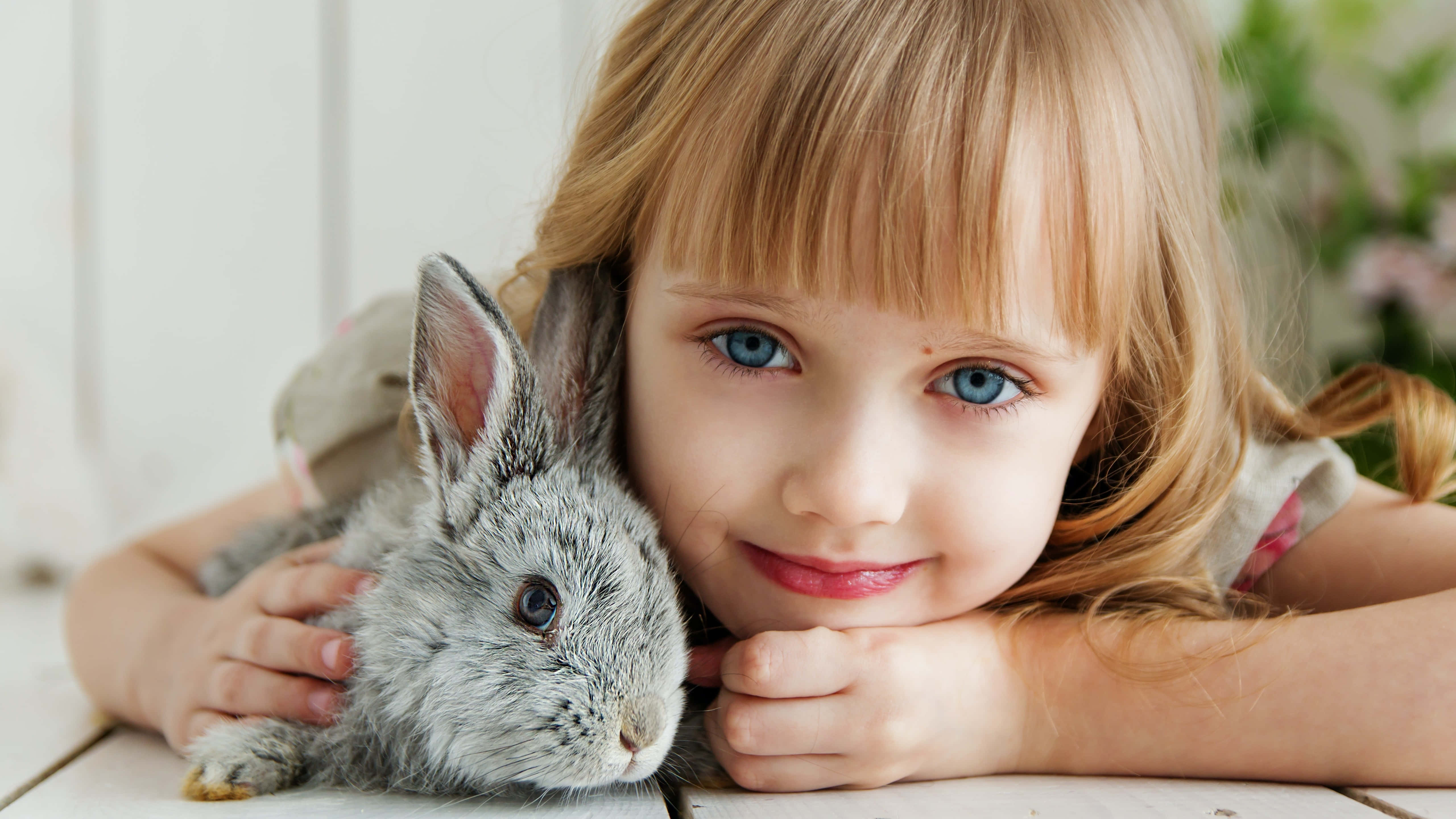 cute bunny rabbits, young girl, blue eyes, 5K Desktop Wallpaper