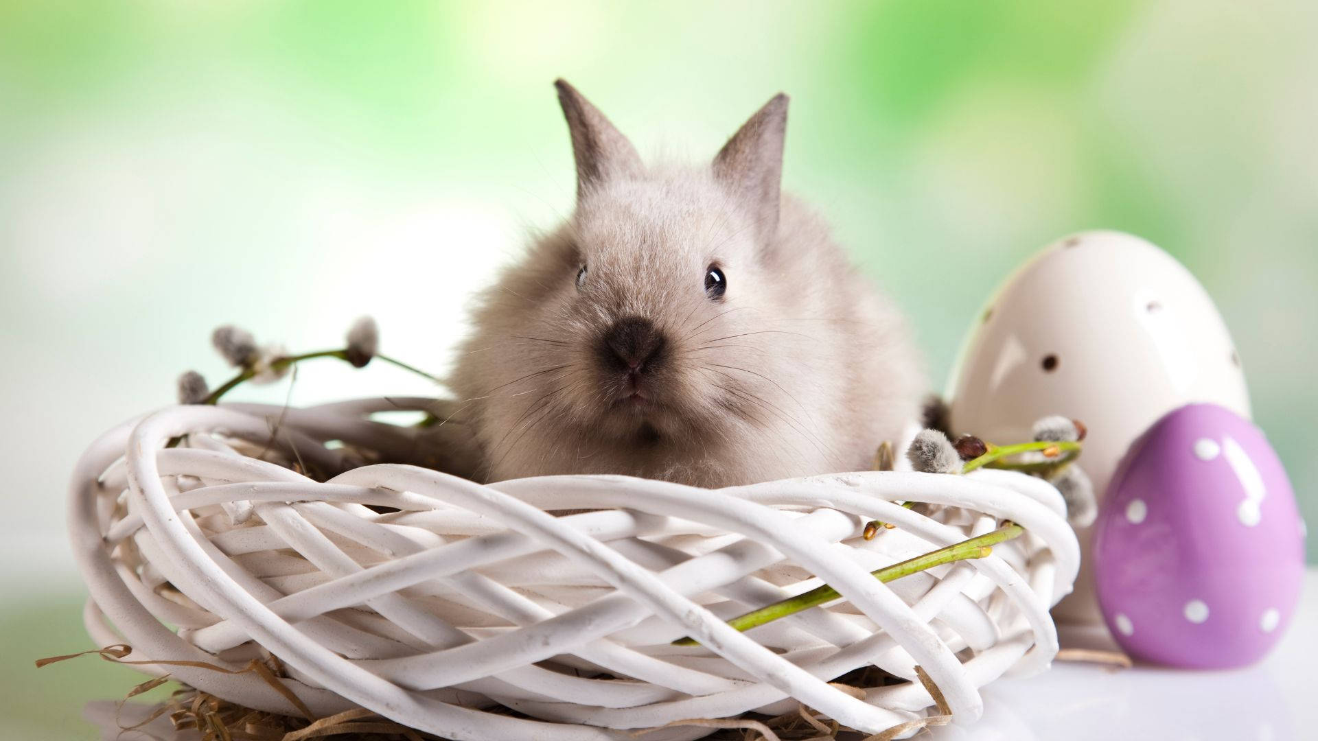 baby bunny, white woven basket, decorated Easter eggs, Full HD Desktop Wallpaper