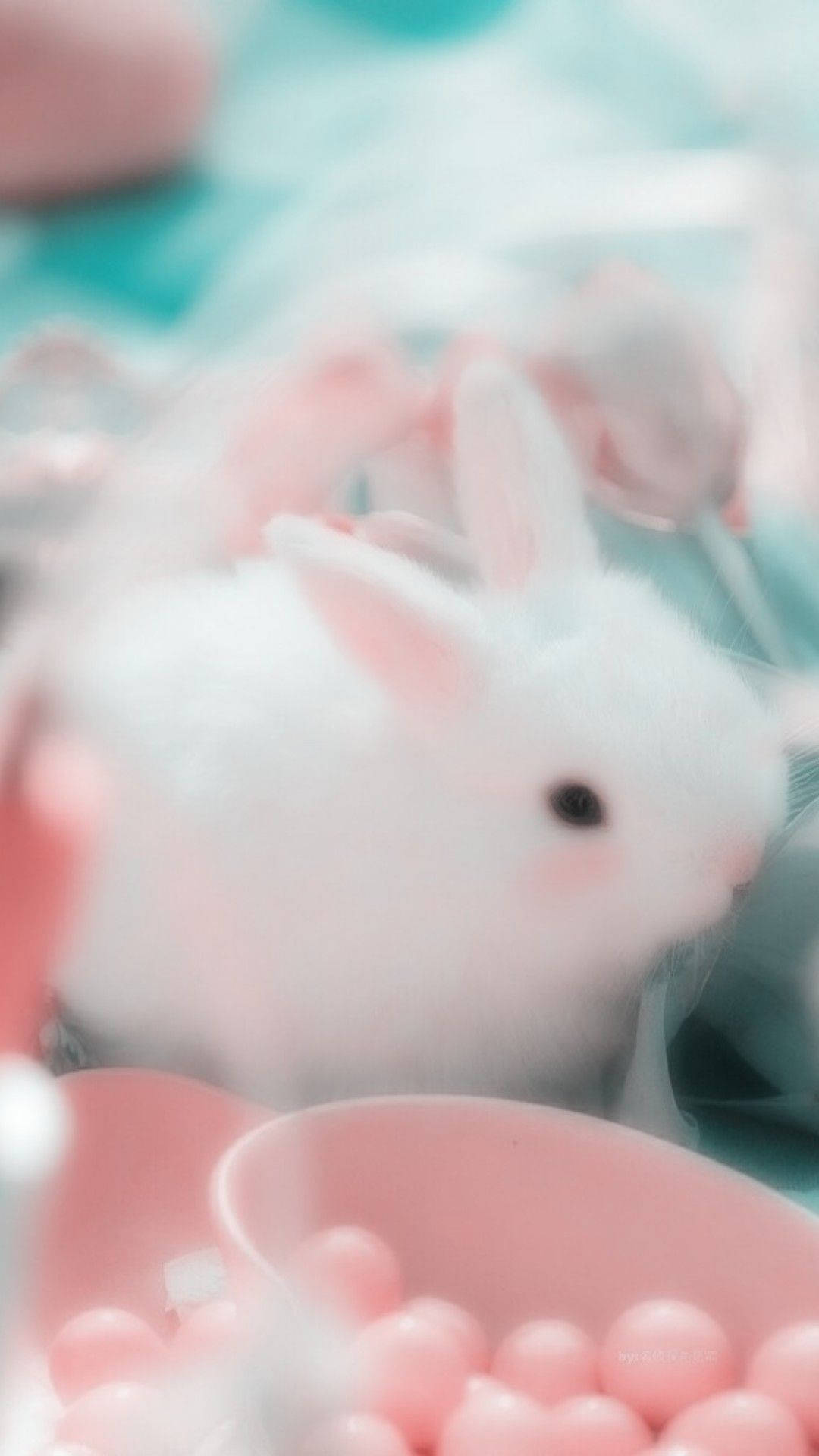 white baby bunny, pink aesthetic, pink ears, Full HD Phone Wallpaper